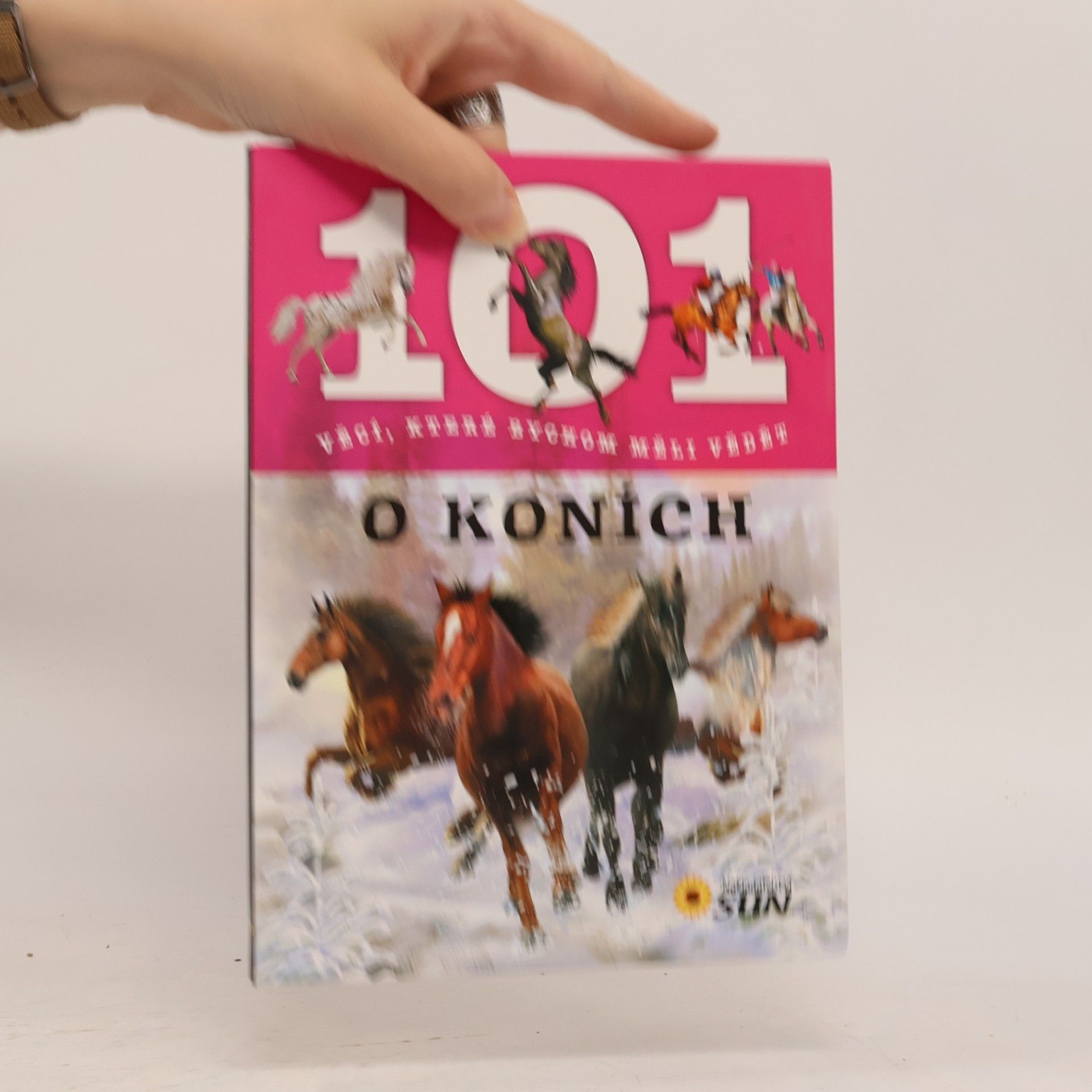 Hana Jovanovičová 101 věcí, které bychom měli vědět o koních