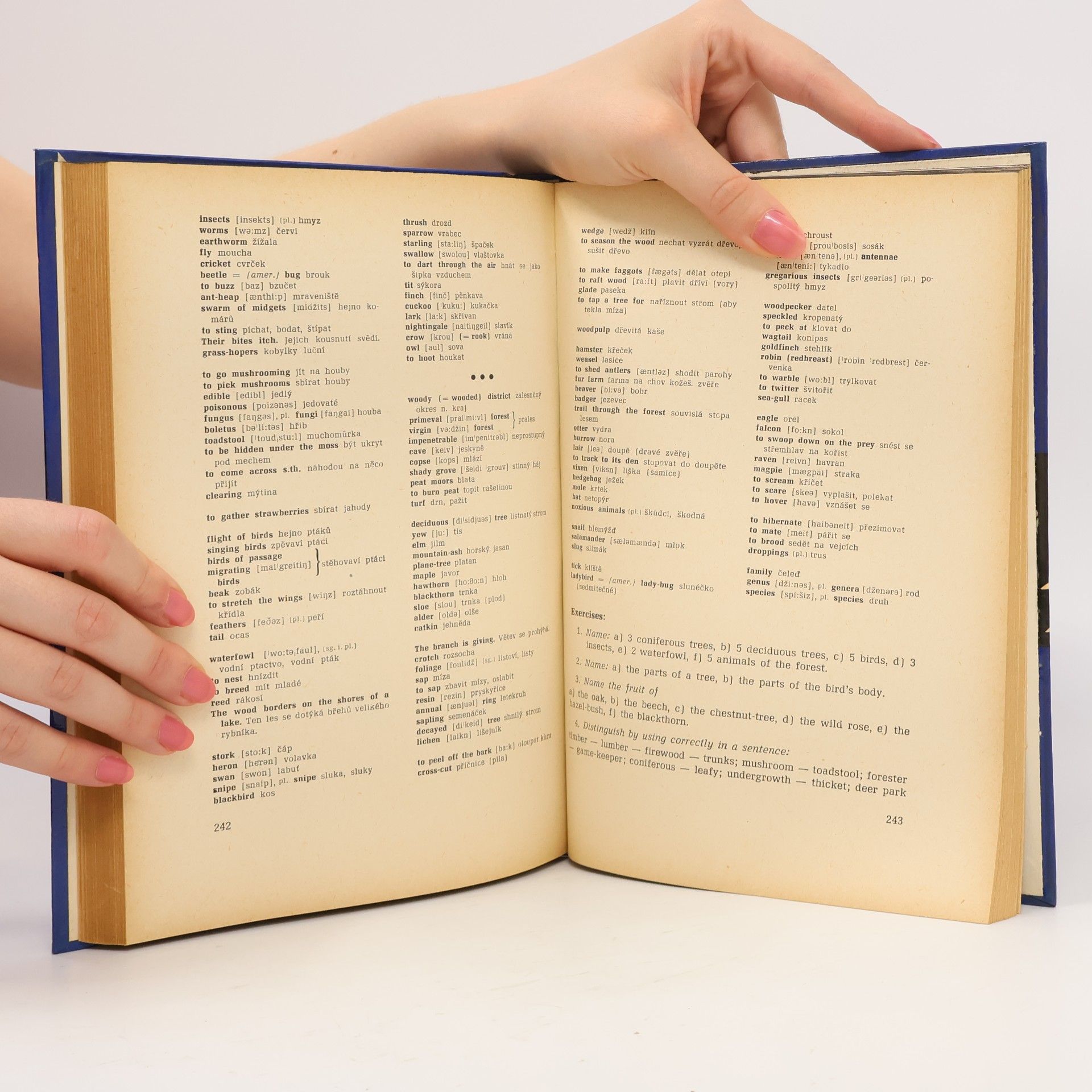 Sergej Tryml A Handbook of English Conversation
