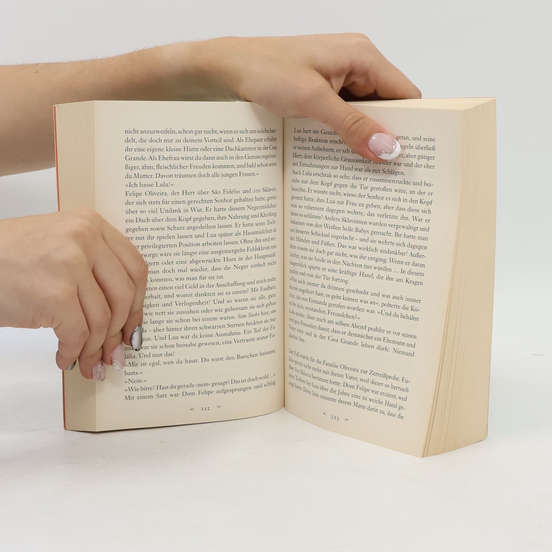 Ana Veloso Das Lied des Kolibris