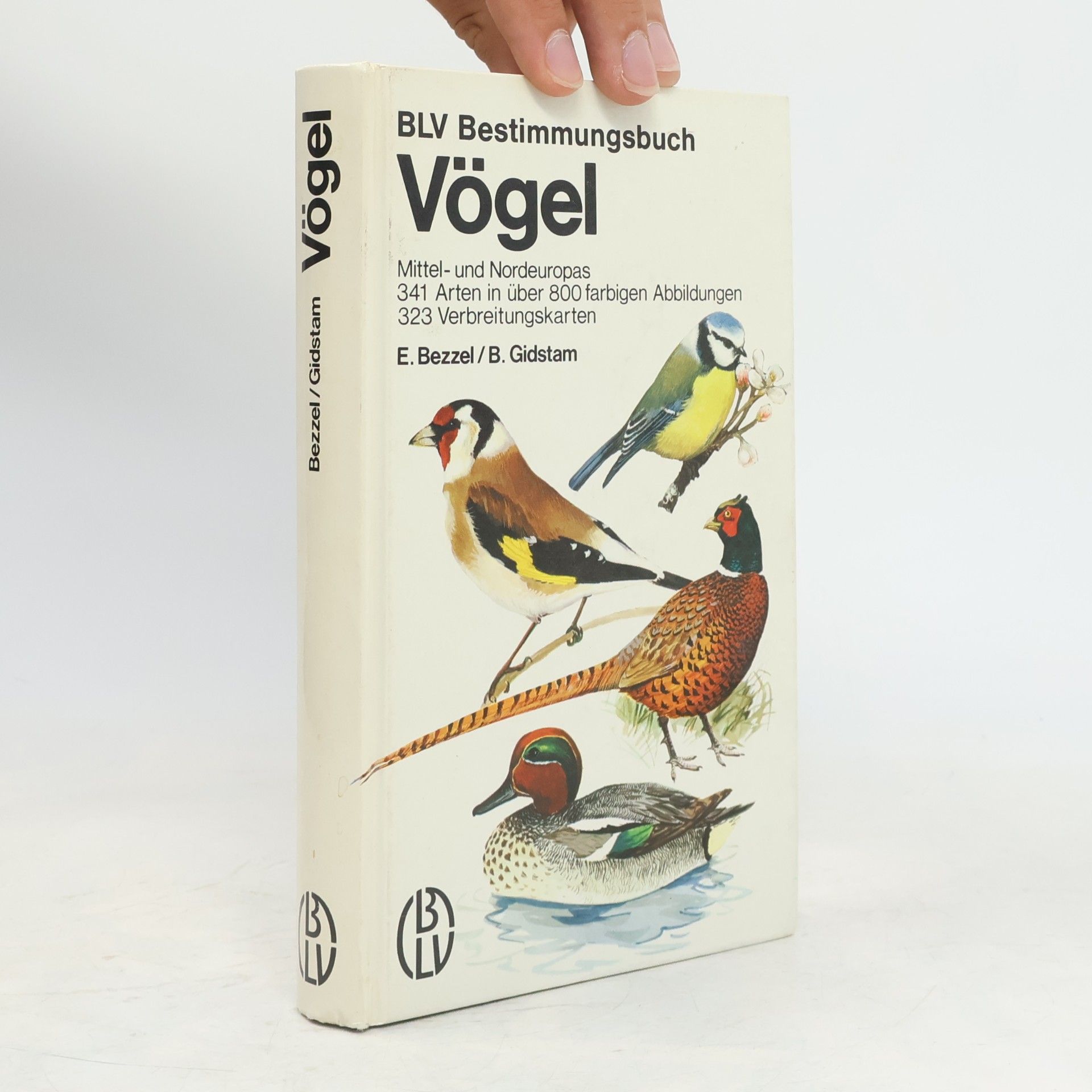 Vögel Mittel- und Nordeuropas