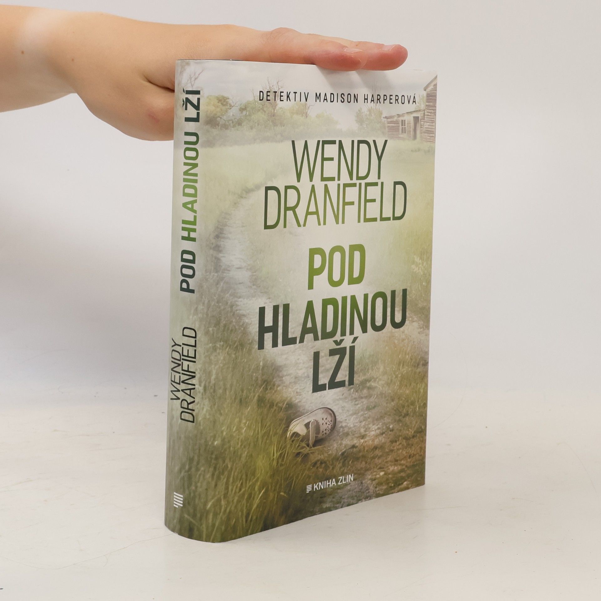 Wendy Dranfield Pod hladinou lží