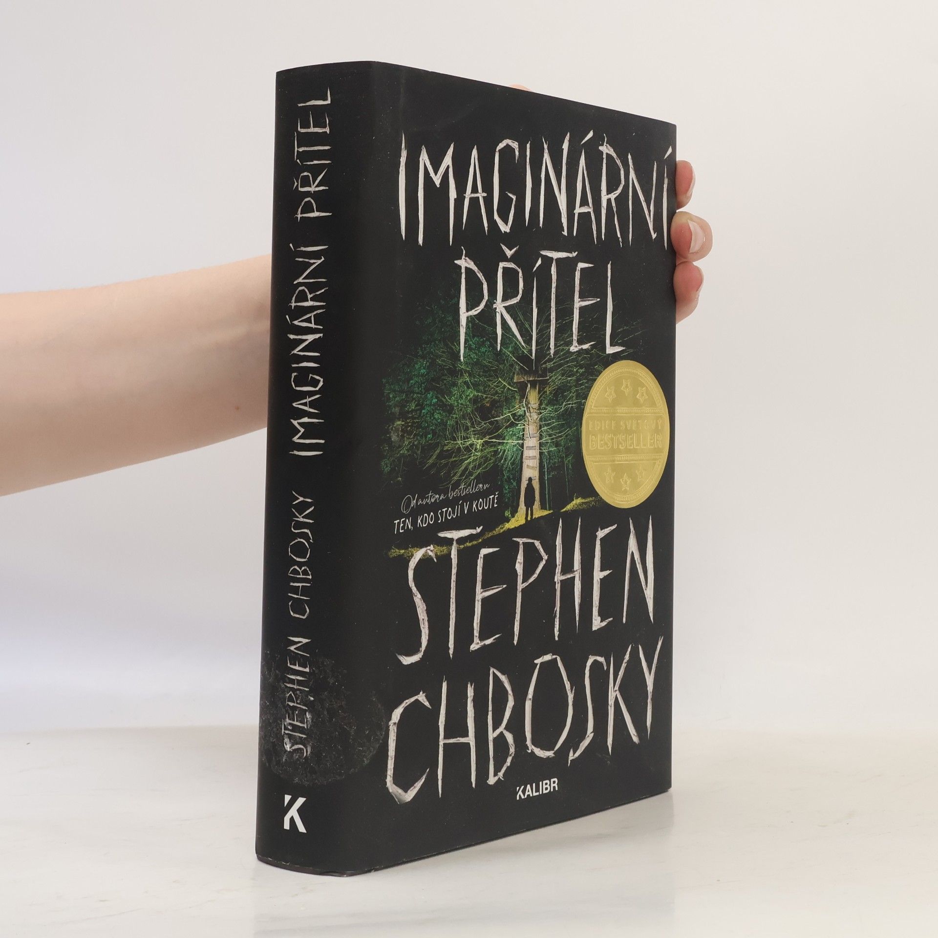 Stephen Chbosky Imaginární přítel
