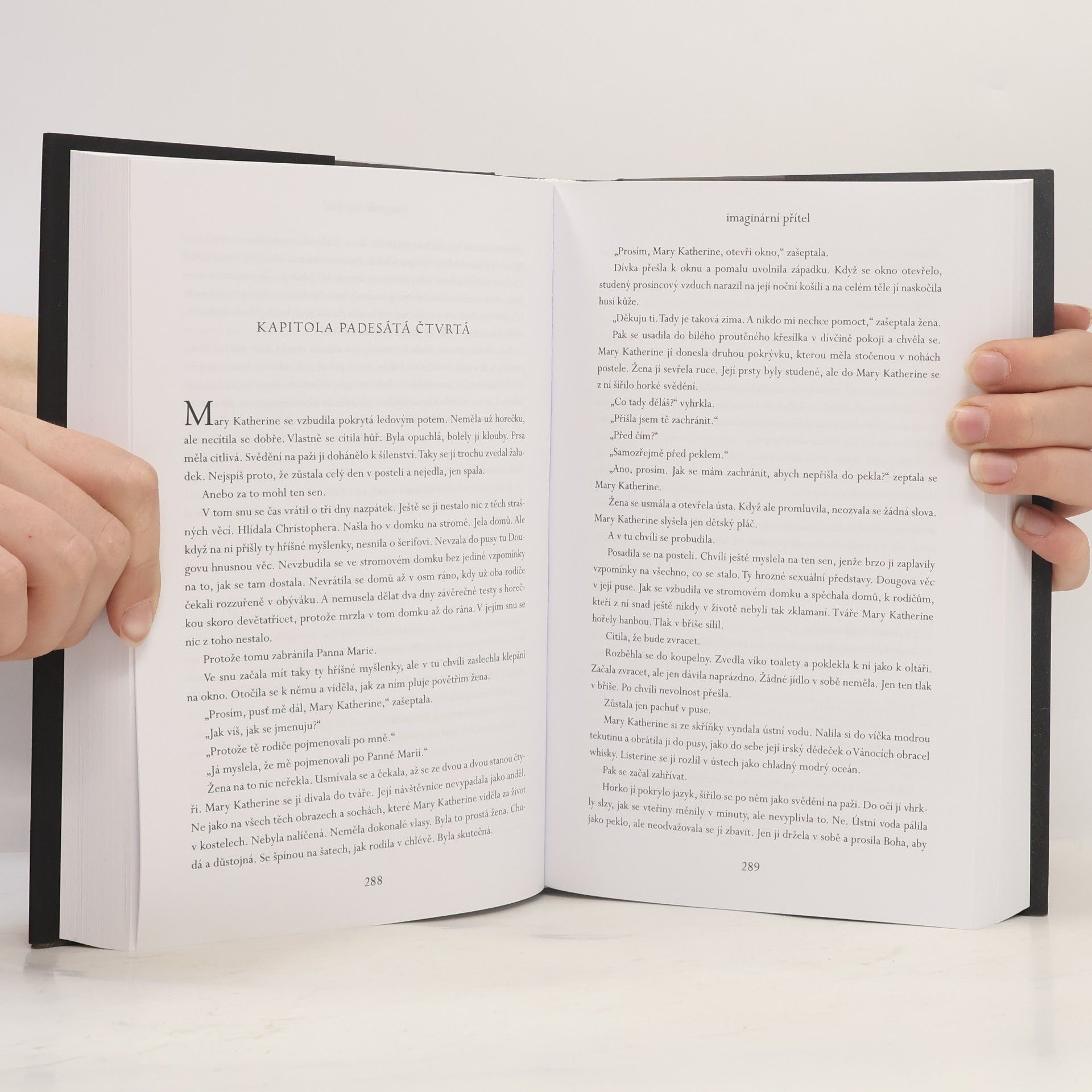 Stephen Chbosky Imaginární přítel