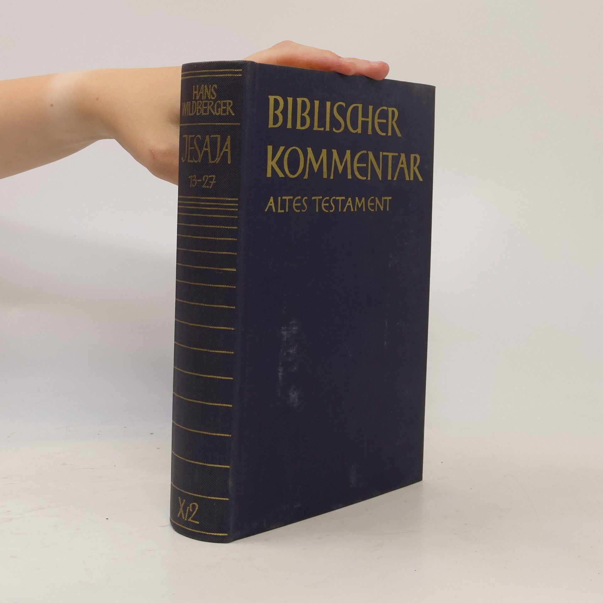 Hans Wildberger Jesaja 2