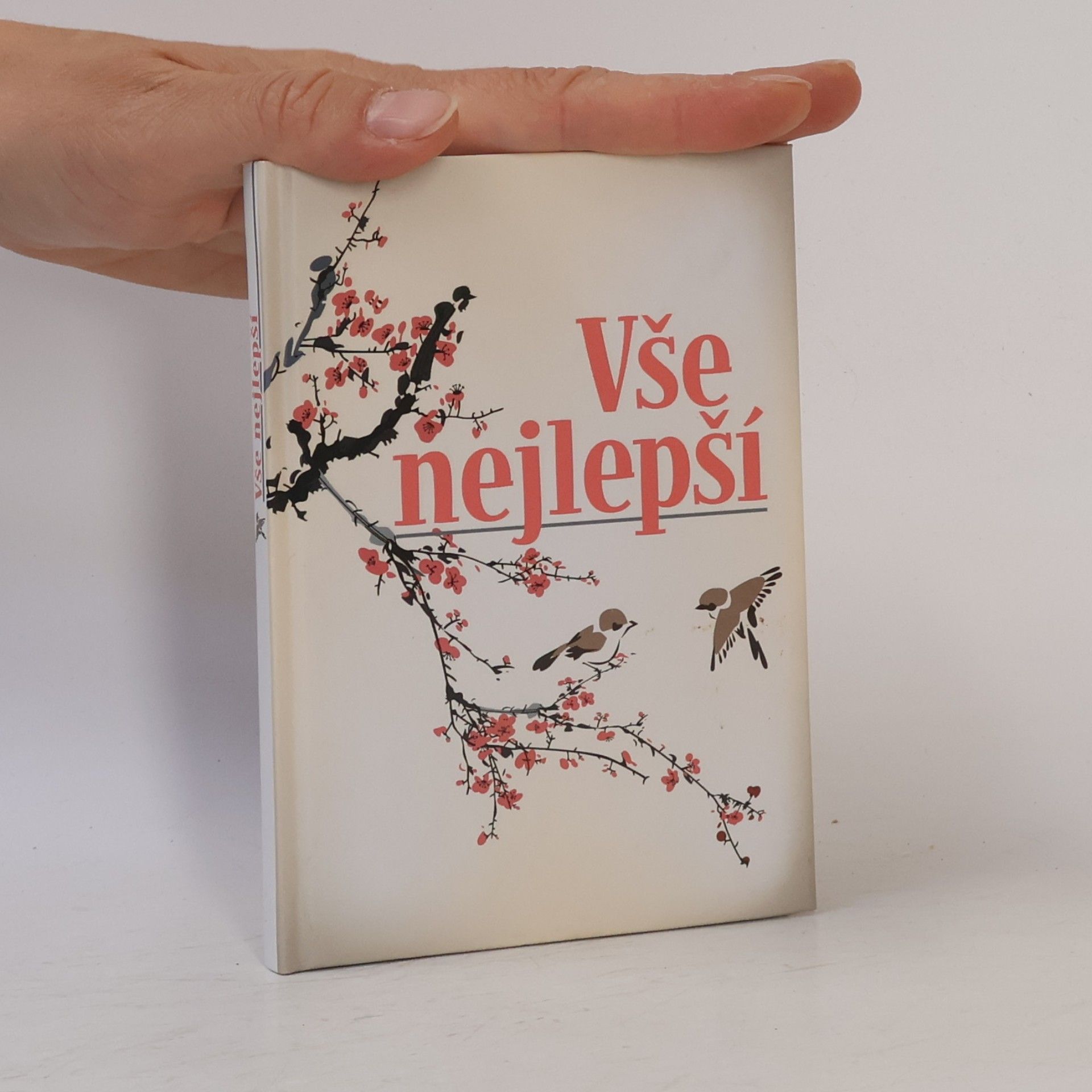 Autorenkollektiv Vše nejlepší