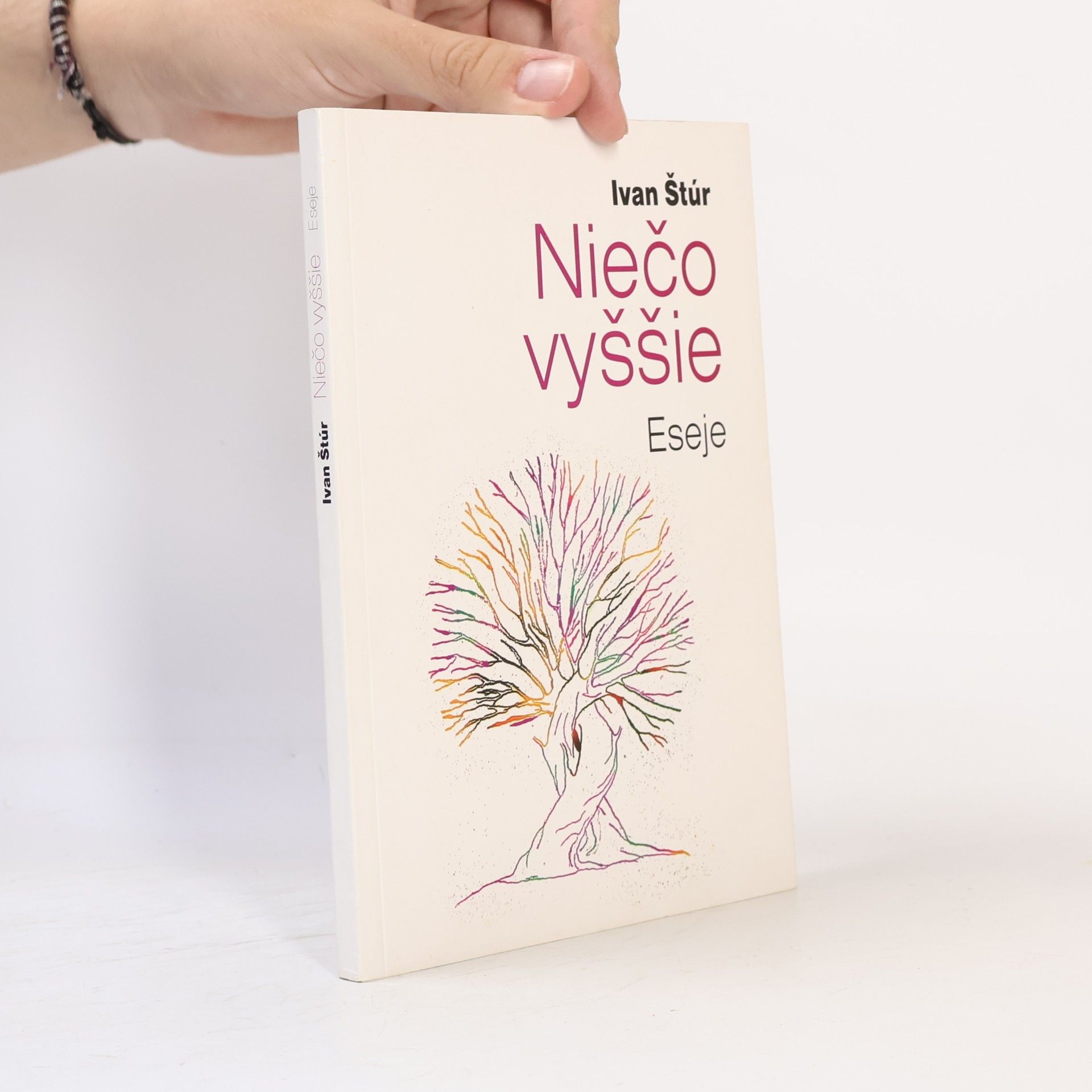 Niečo vyššie. Eseje