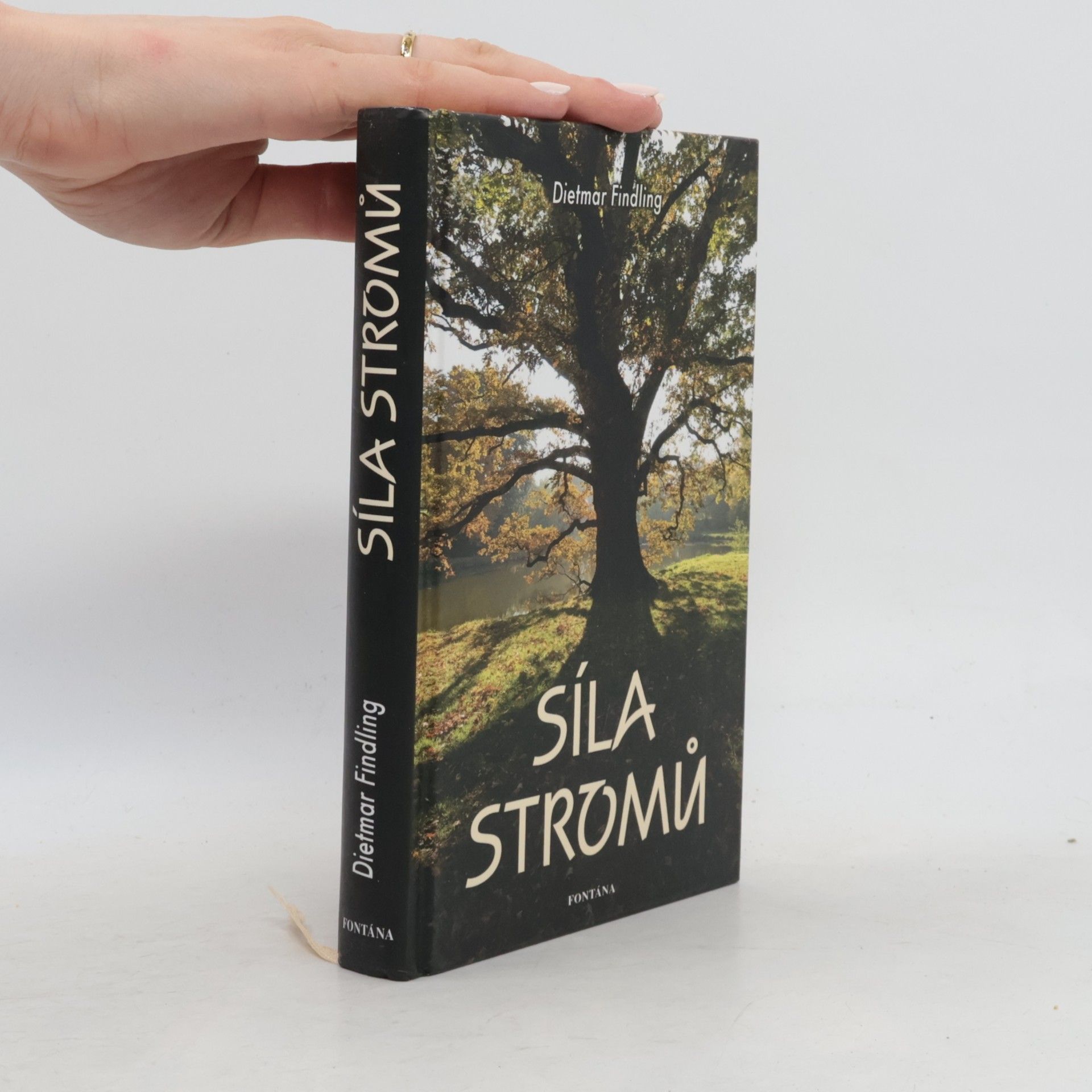 Dietmar Findling Síla stromů