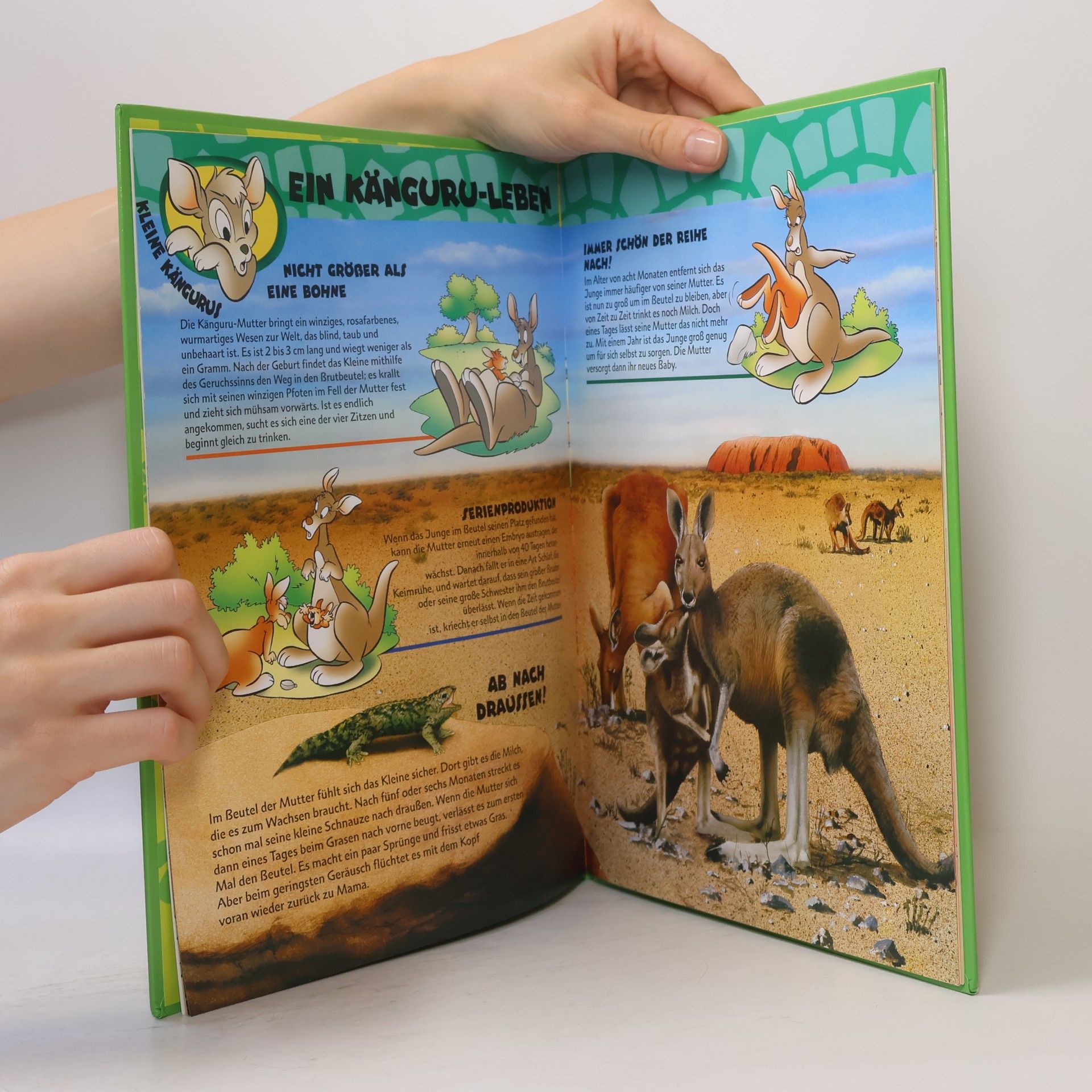 Autorenkollektiv Wunderbare Tierwelt. Die Kängurus