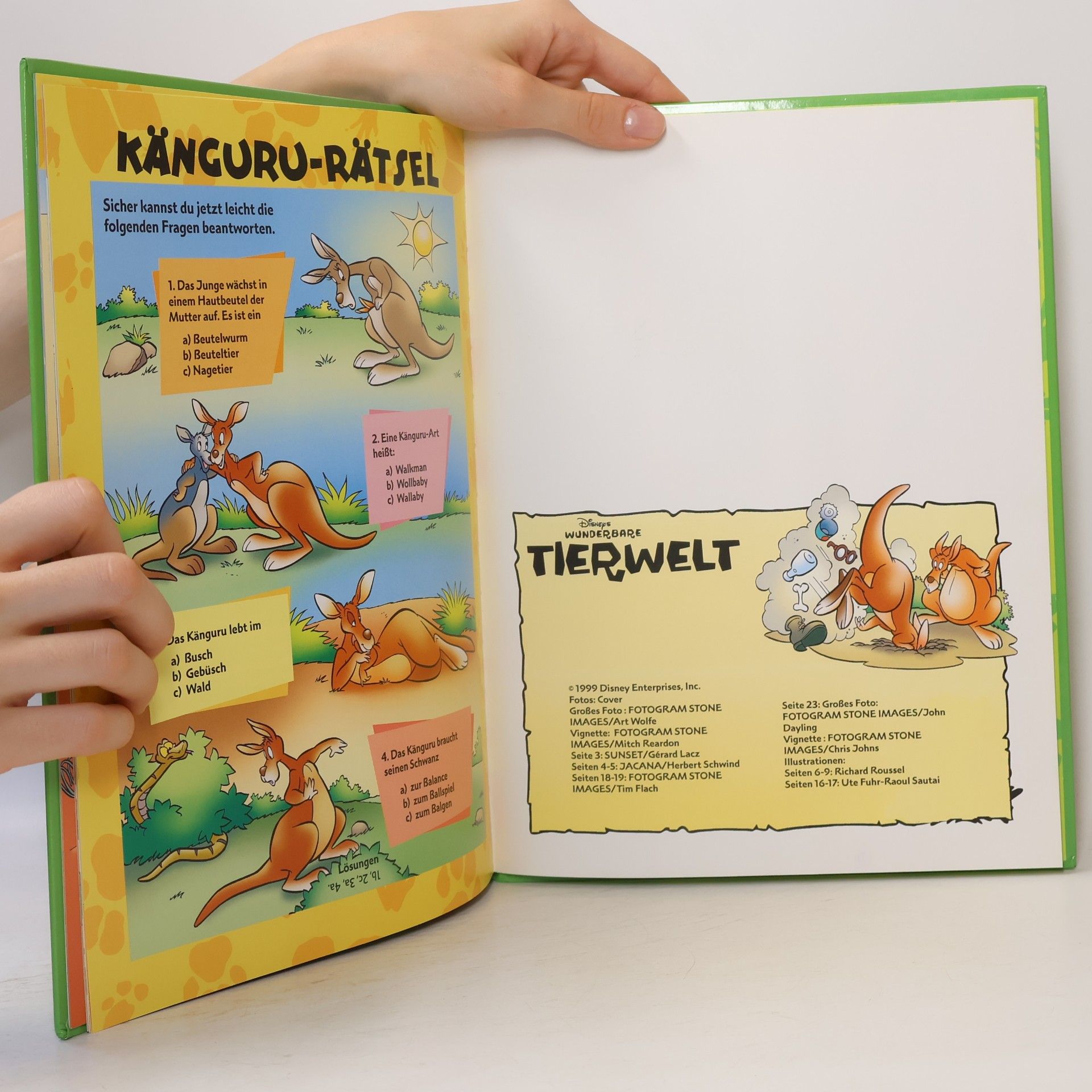 Autorenkollektiv Wunderbare Tierwelt. Die Kängurus