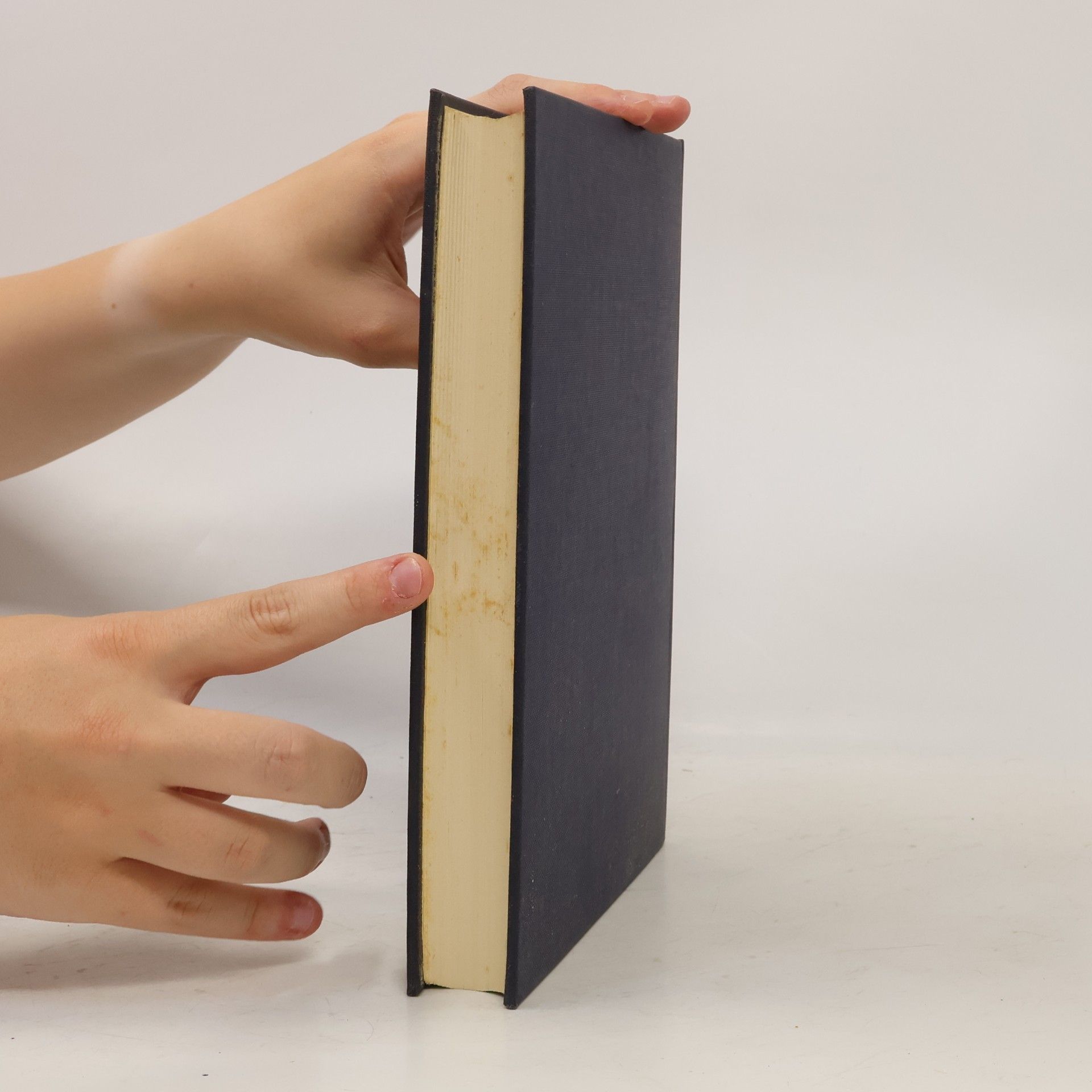 Autores varios Biblischer Kommentar altes Testament IX/1