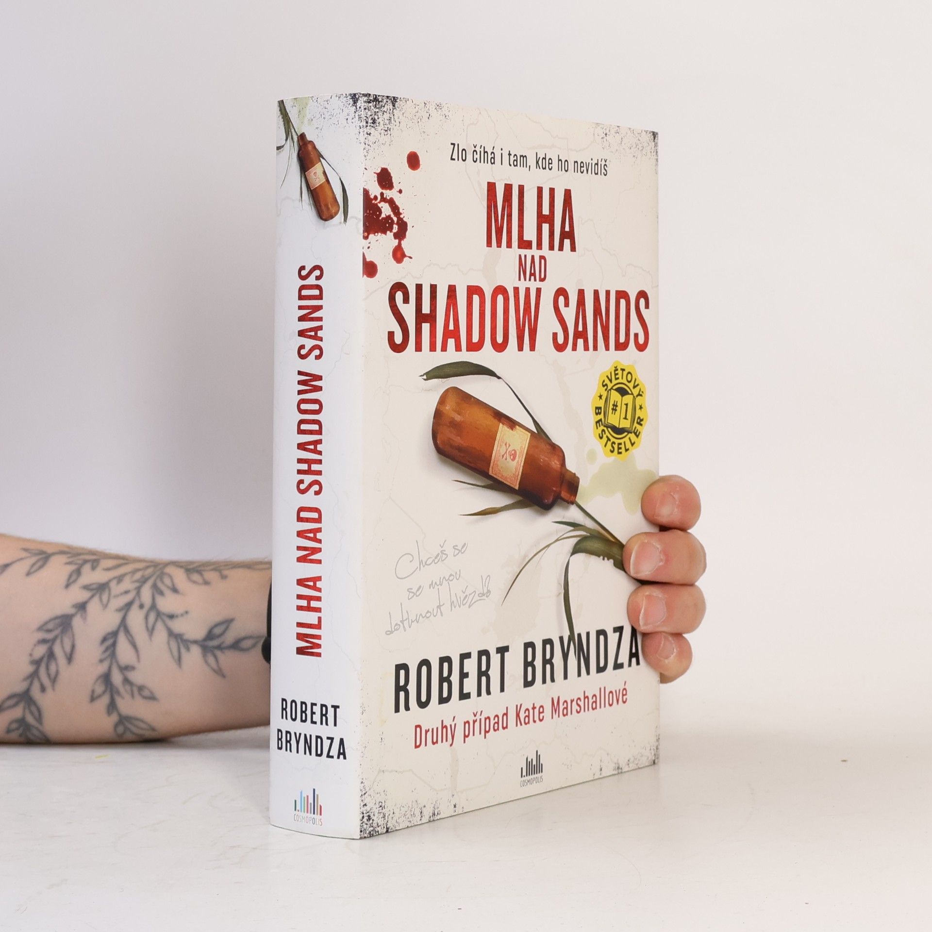 Robert Bryndza Mlha nad Shadow Sands