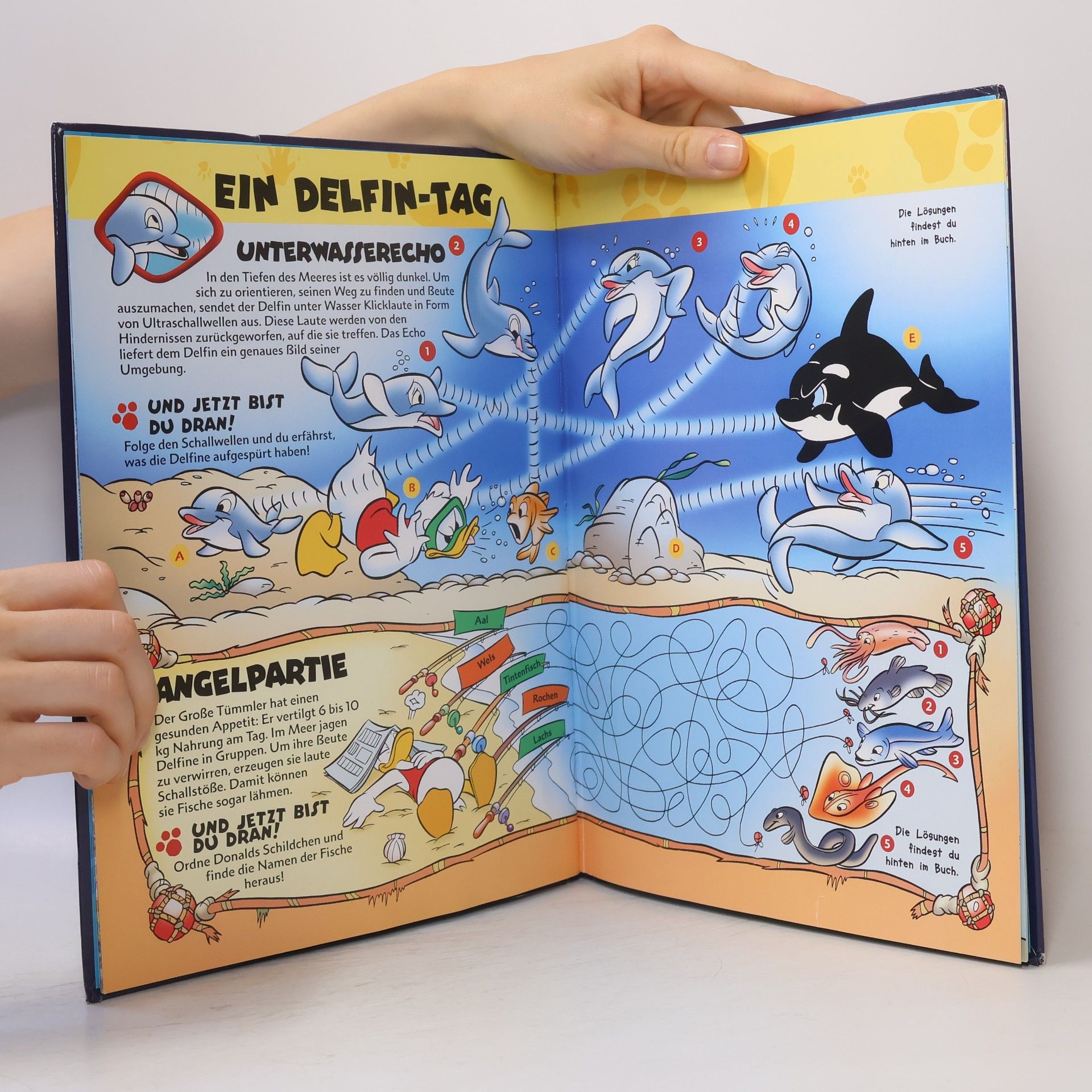 Autorenkollektiv Wunderbare Tierwelt. Die Delfine
