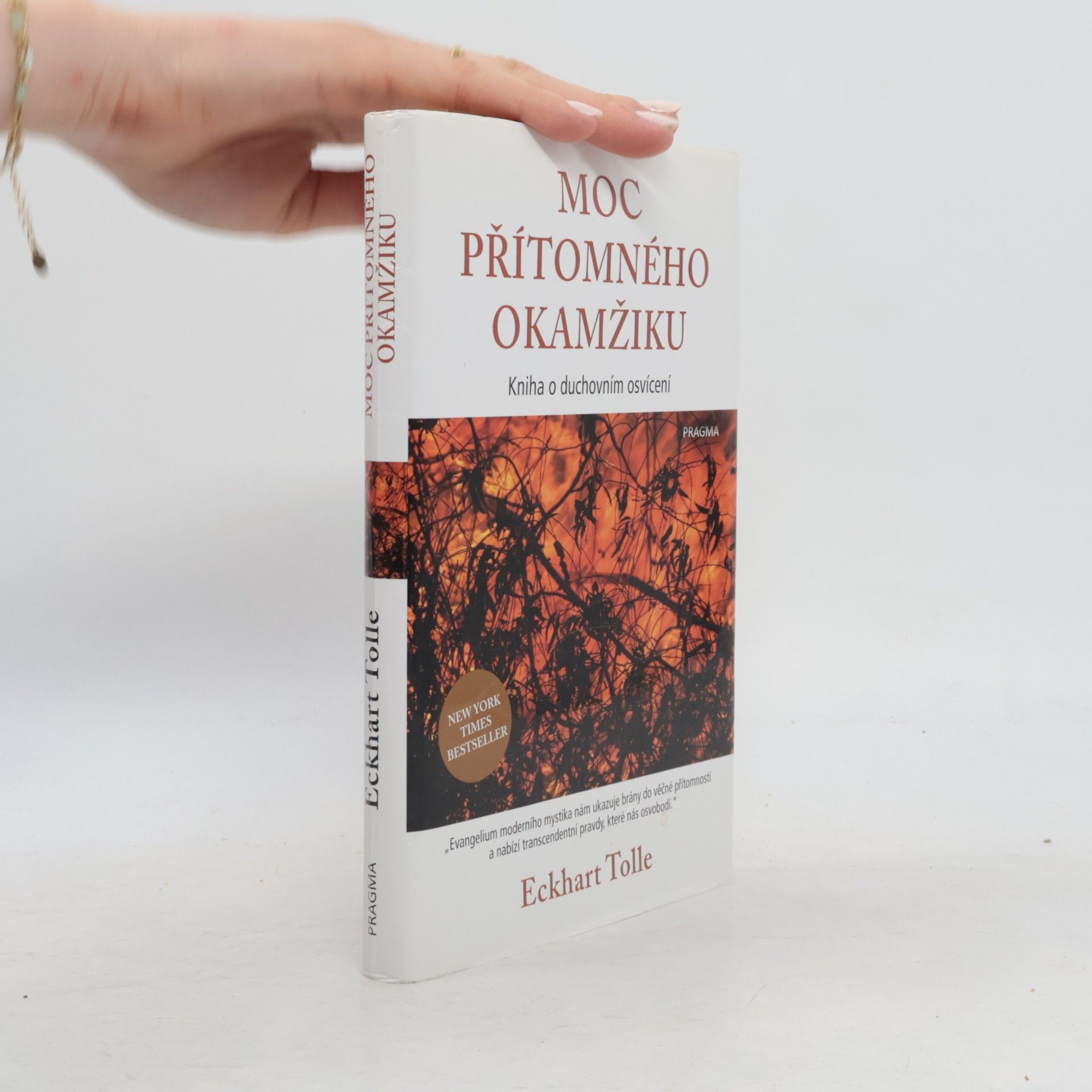 Eckhart Tolle Moc přítomného okamžiku