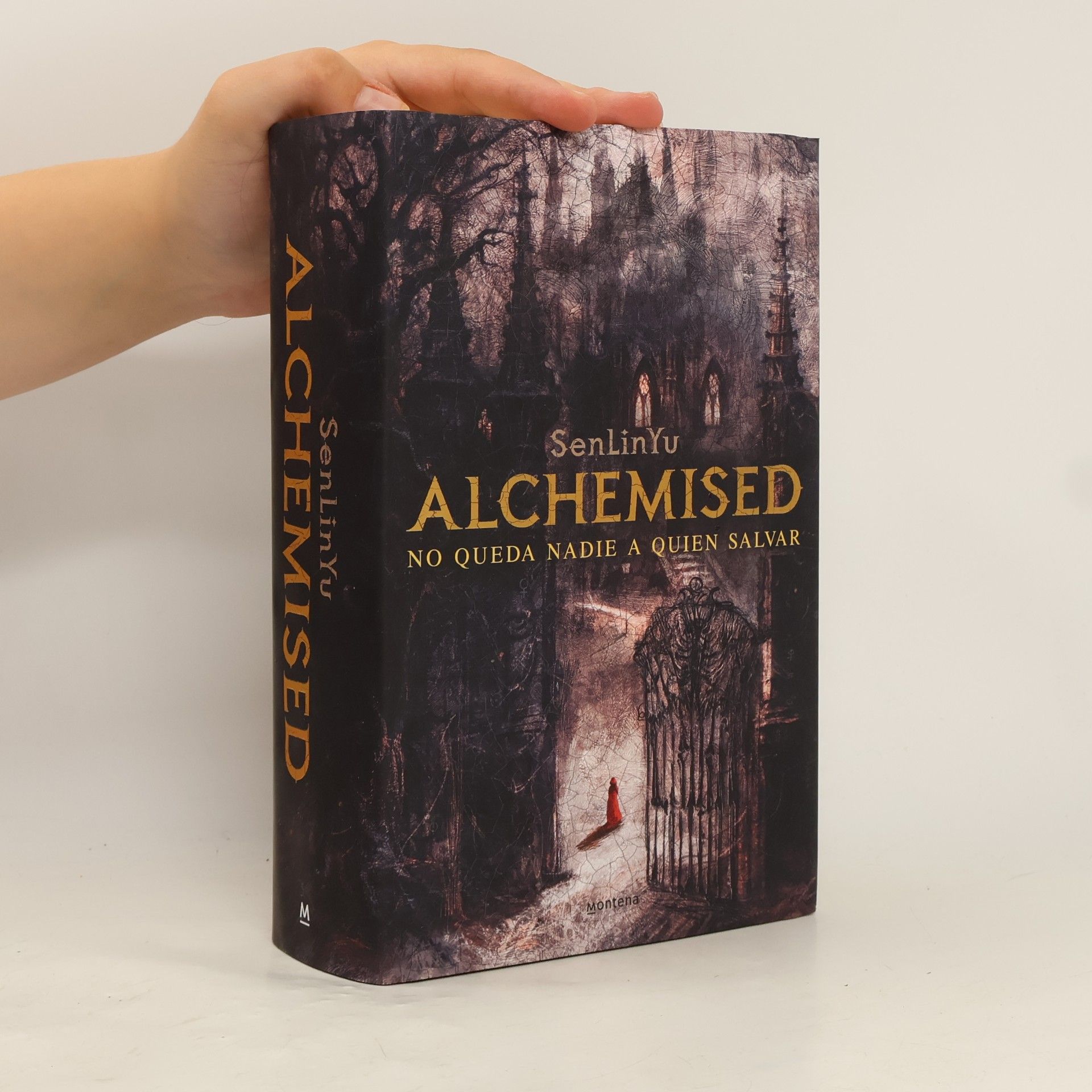 SenLinYu Alchemised