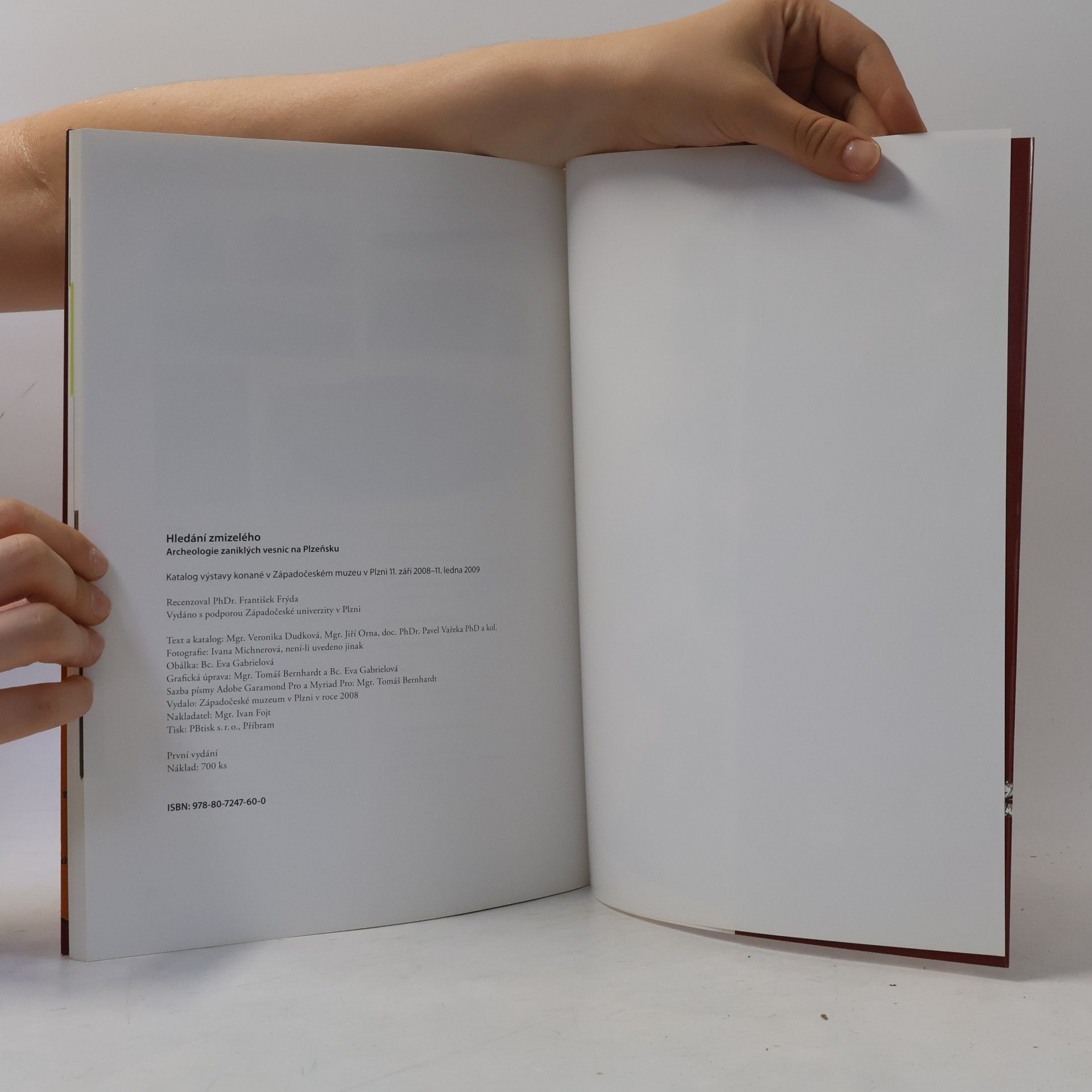 Collectif d'auteurs Hledání zmizelého