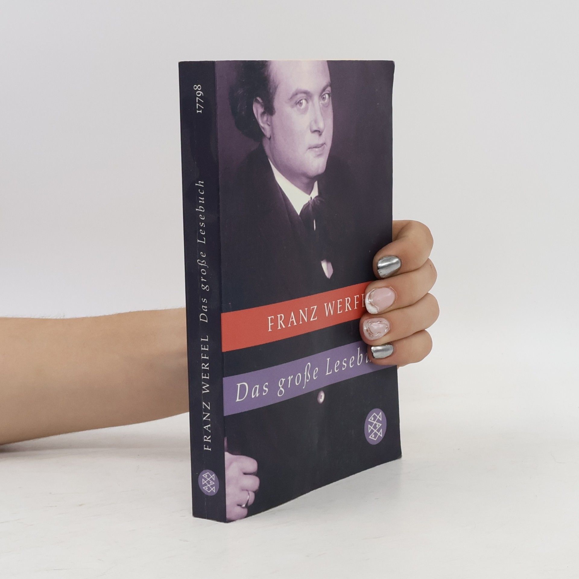 Franz Werfel Das große Lesebuch: Originalausgabe