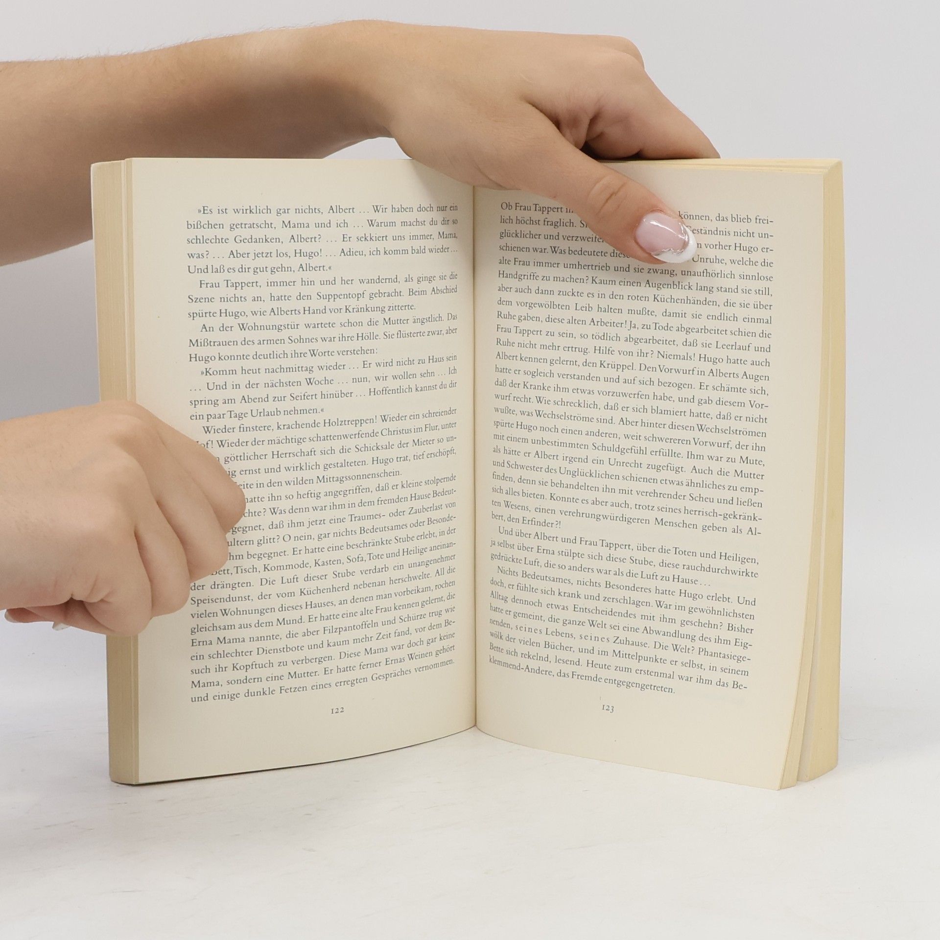 Franz Werfel Das große Lesebuch: Originalausgabe