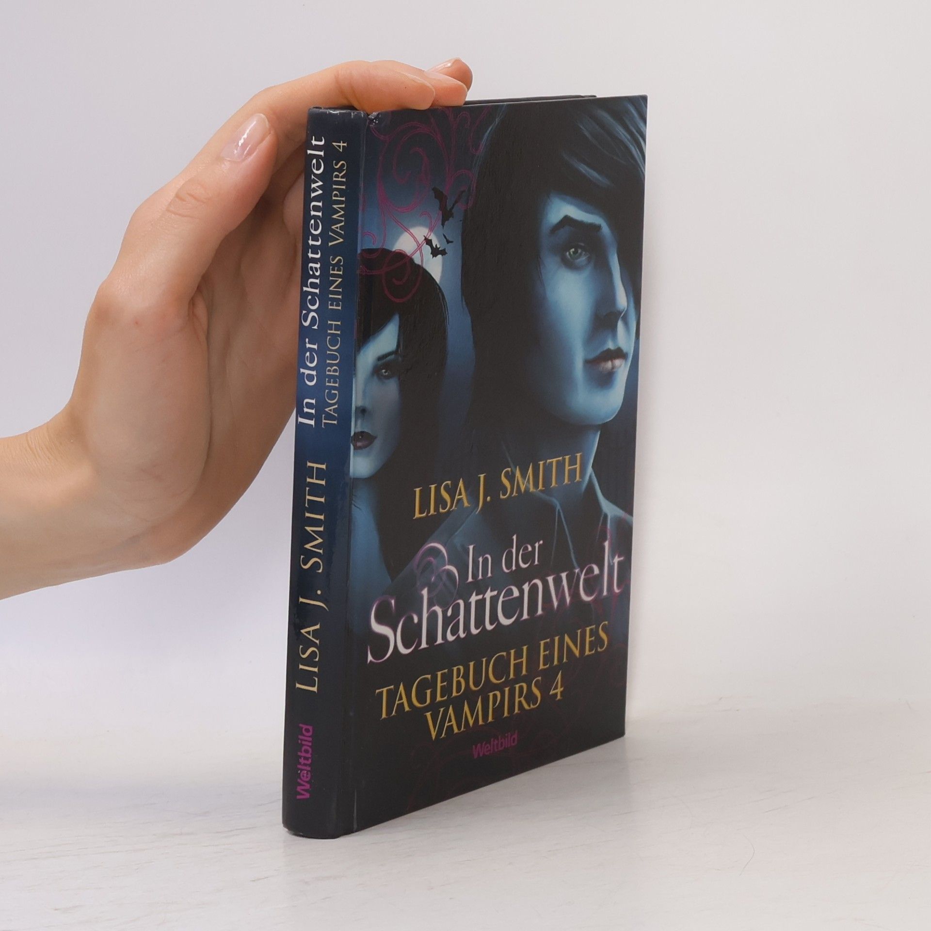 L. J. Smithová  Tagebuch eines Vampirs 4. In der Schattenwelt