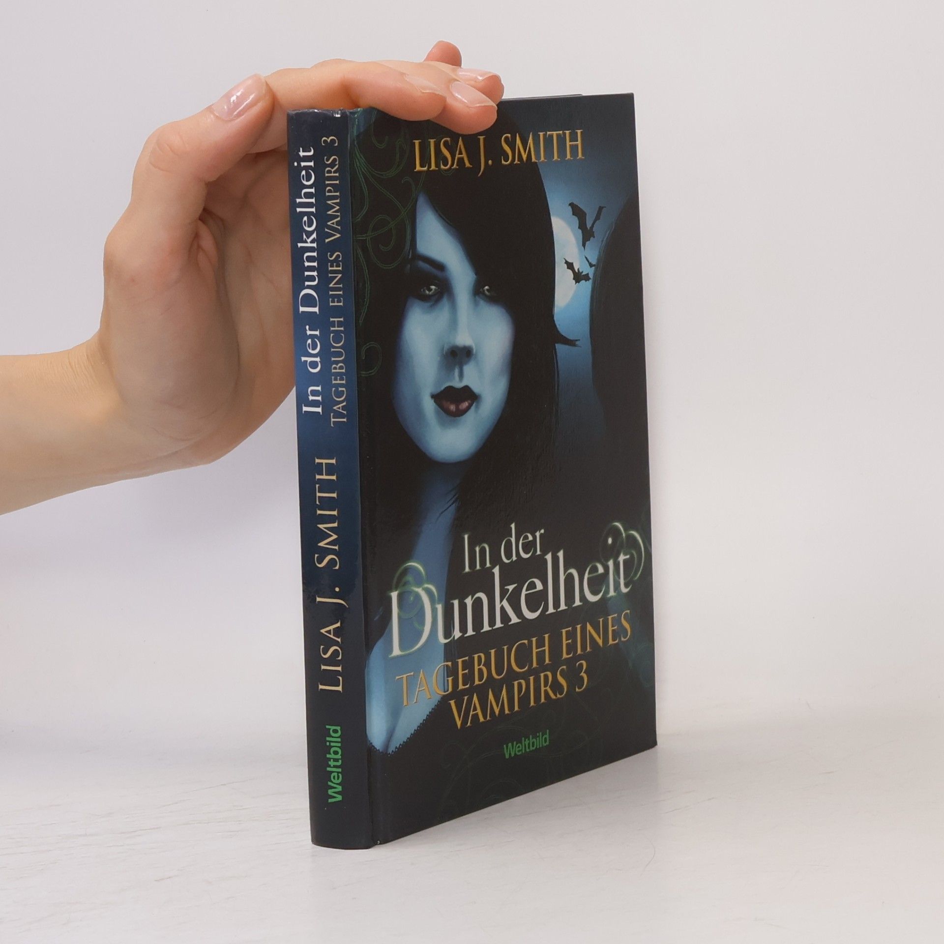 Lisa J. Smith Tagebuch eines Vampirs 3. In der Dunkelheit
