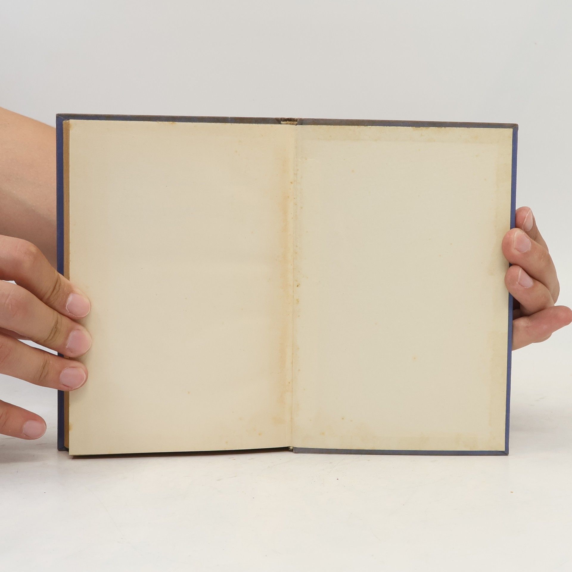 Alexandre Dumas der Ältere Tři mušketýři po dvaceti letech II.