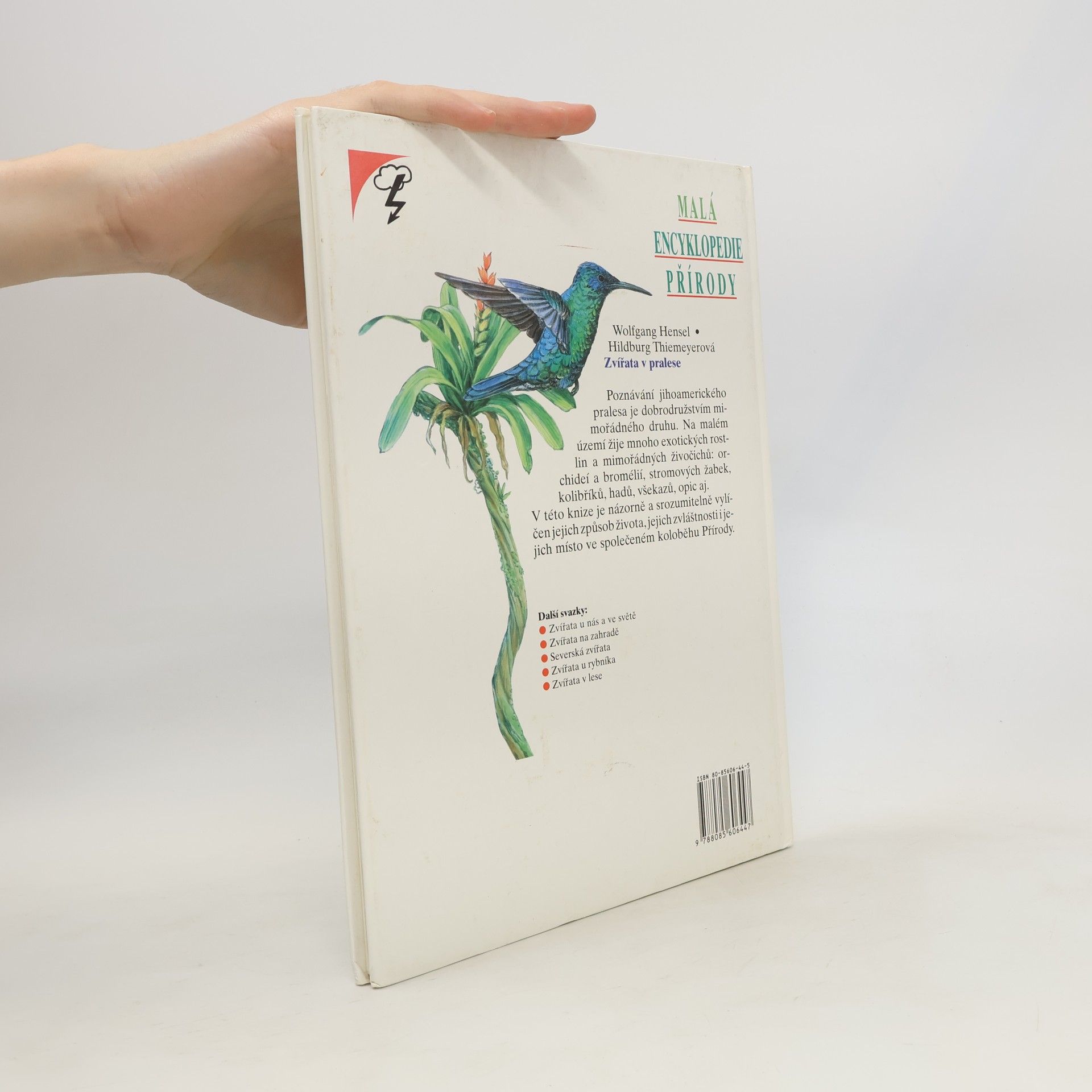 Hildburg Thiemeyer Zvířata v pralese