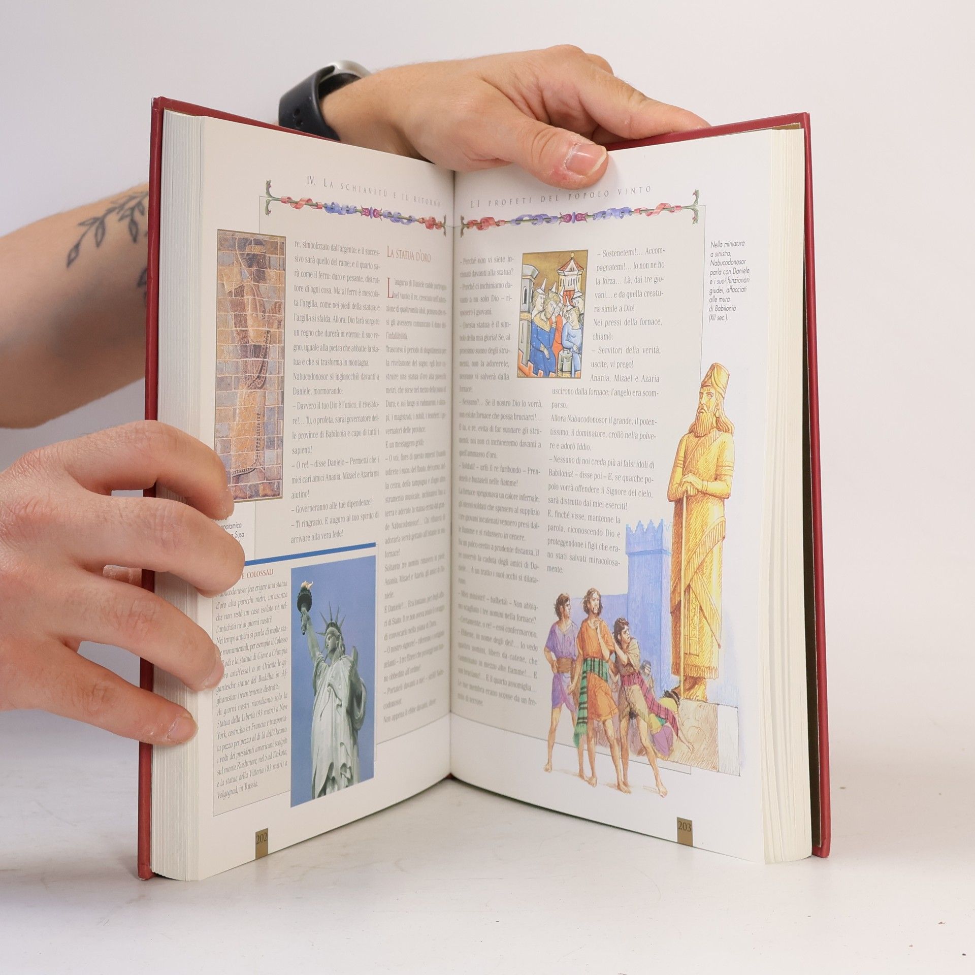 Giannino Falzone Fontanelli La sacra Bibbia. Antico e Nuovo Testamento