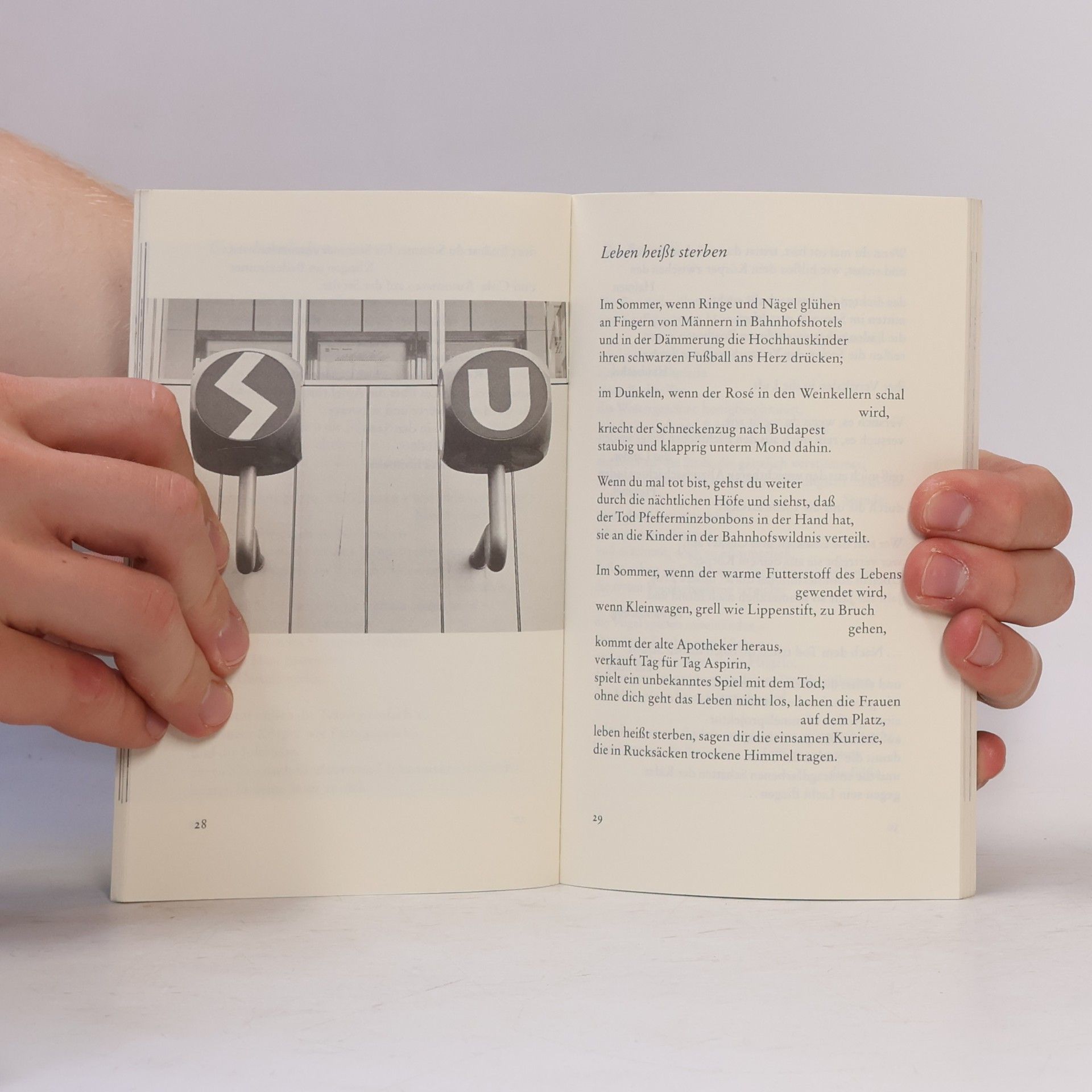 Serhij V. Žadan Edition Suhrkamp - 2455: Die Geschichte der Kultur zu Anfang des Jahrhunderts