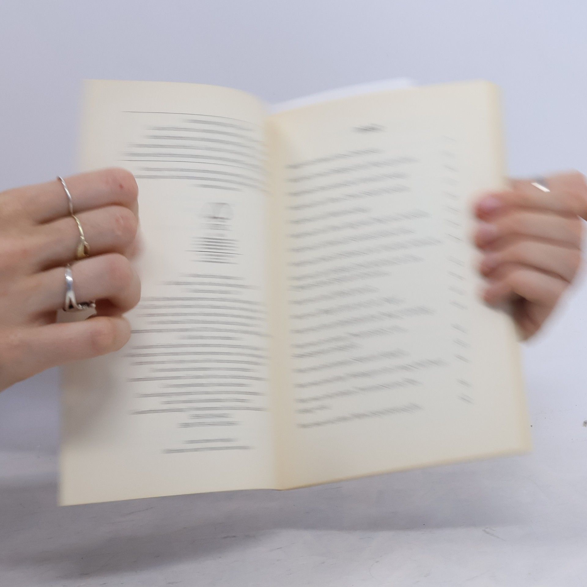 Lottie Stride Das unentbehrliche Handbuch für furchtlose Zeitreisende