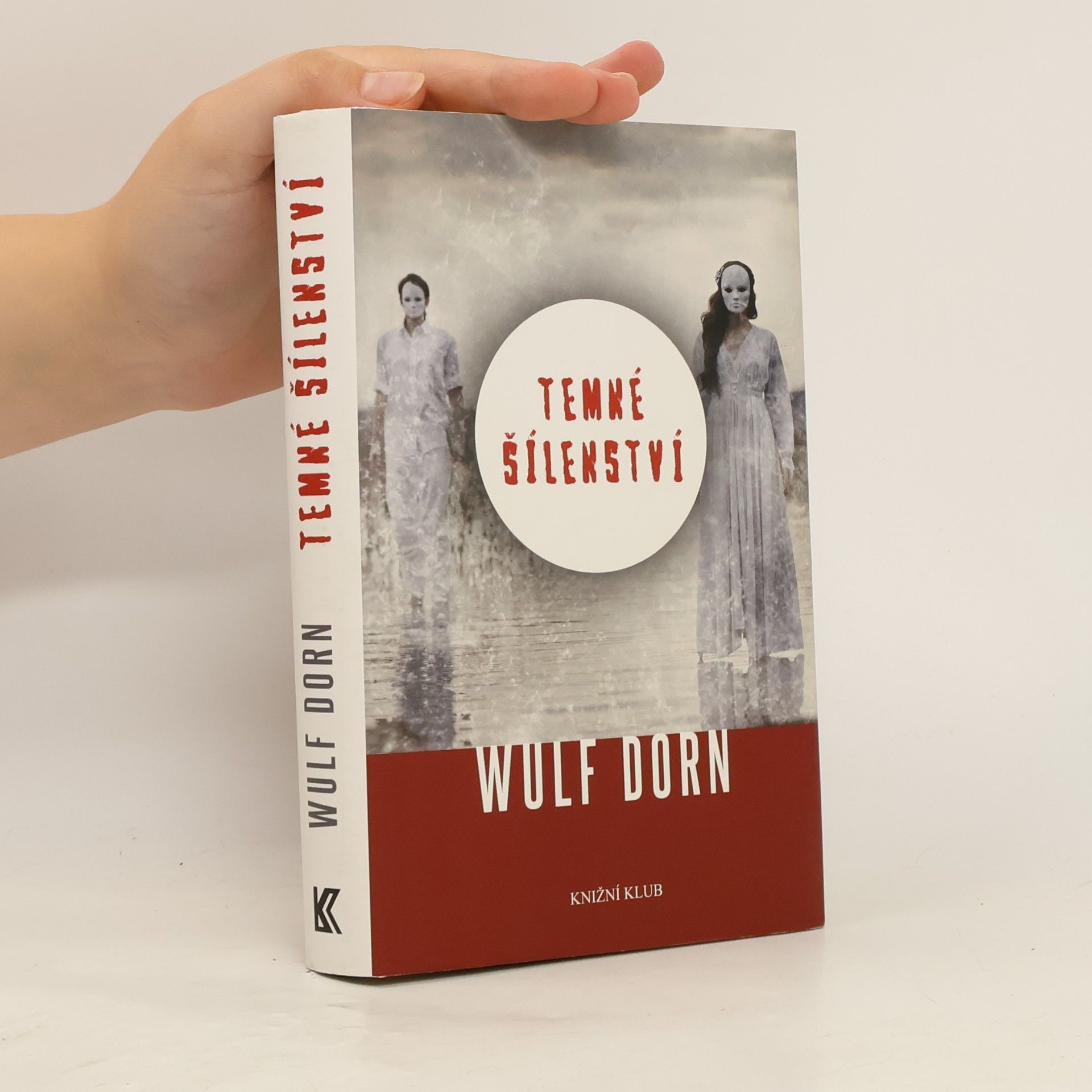 Wulf Dorn Temné šílenství