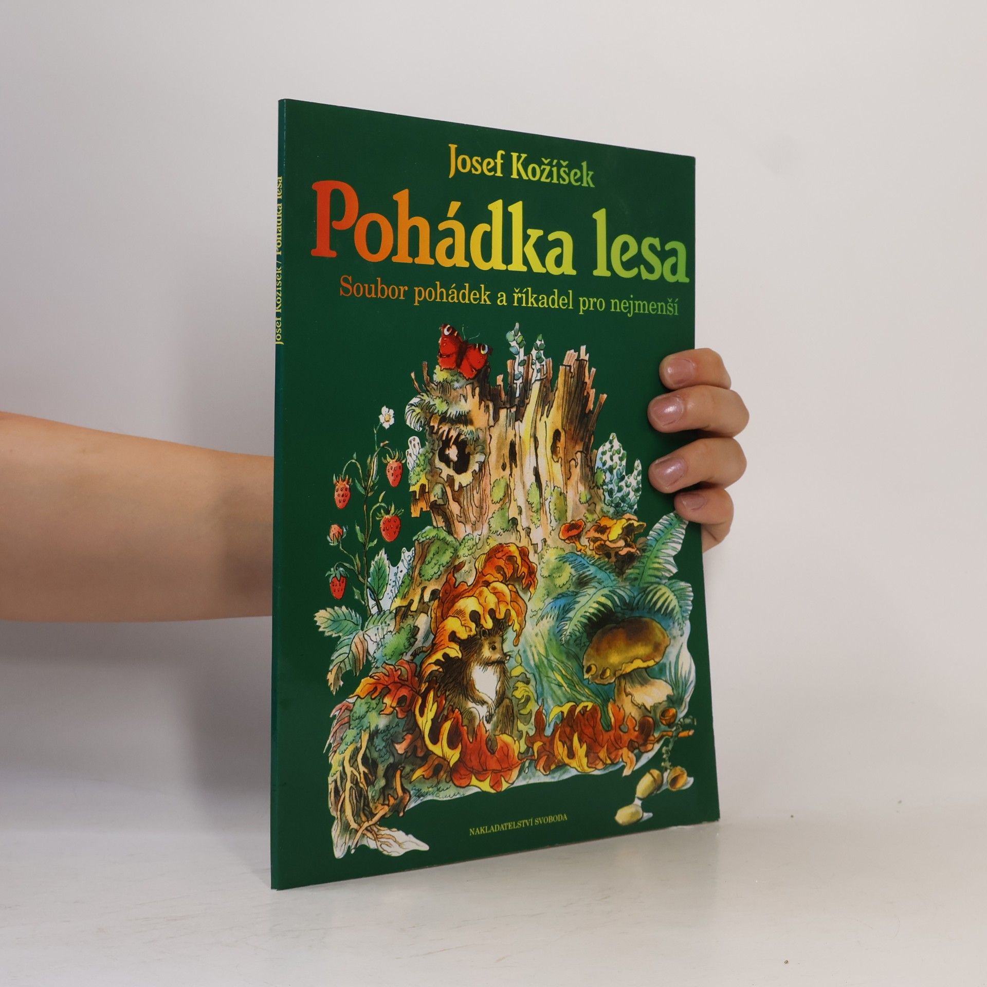 Josef Kožíšek Pohádka lesa