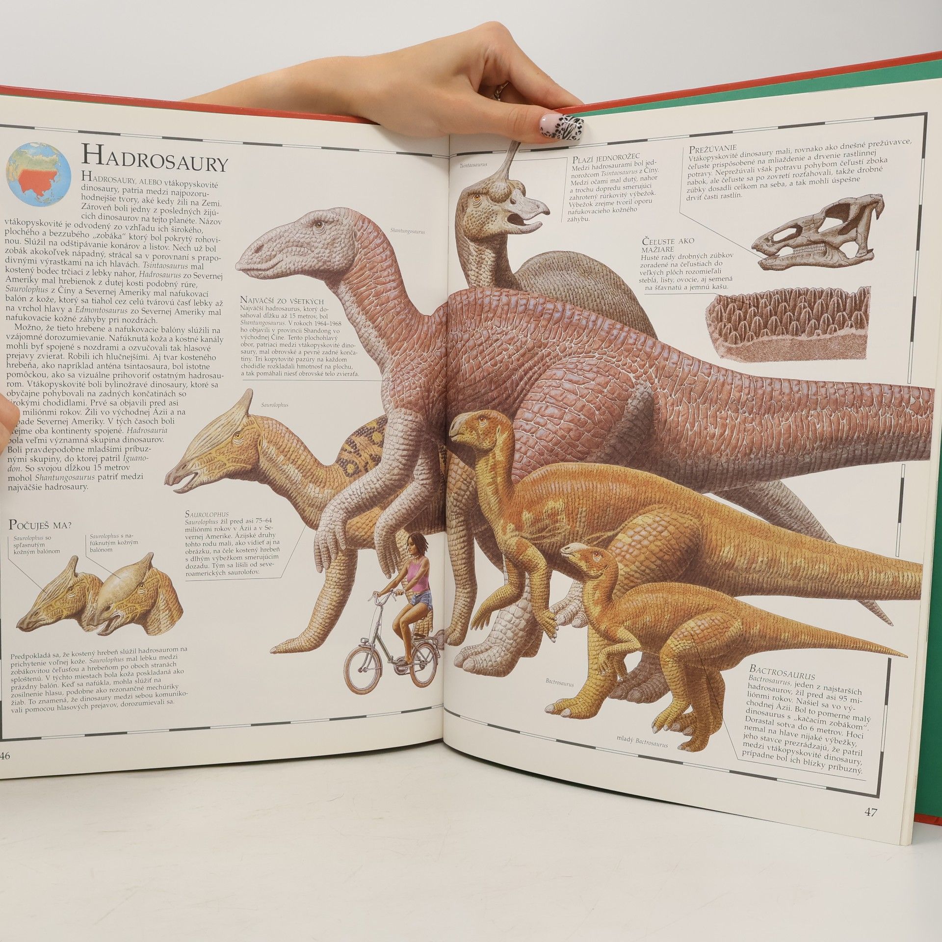William Lindsay Obrazový atlas dinosaurov