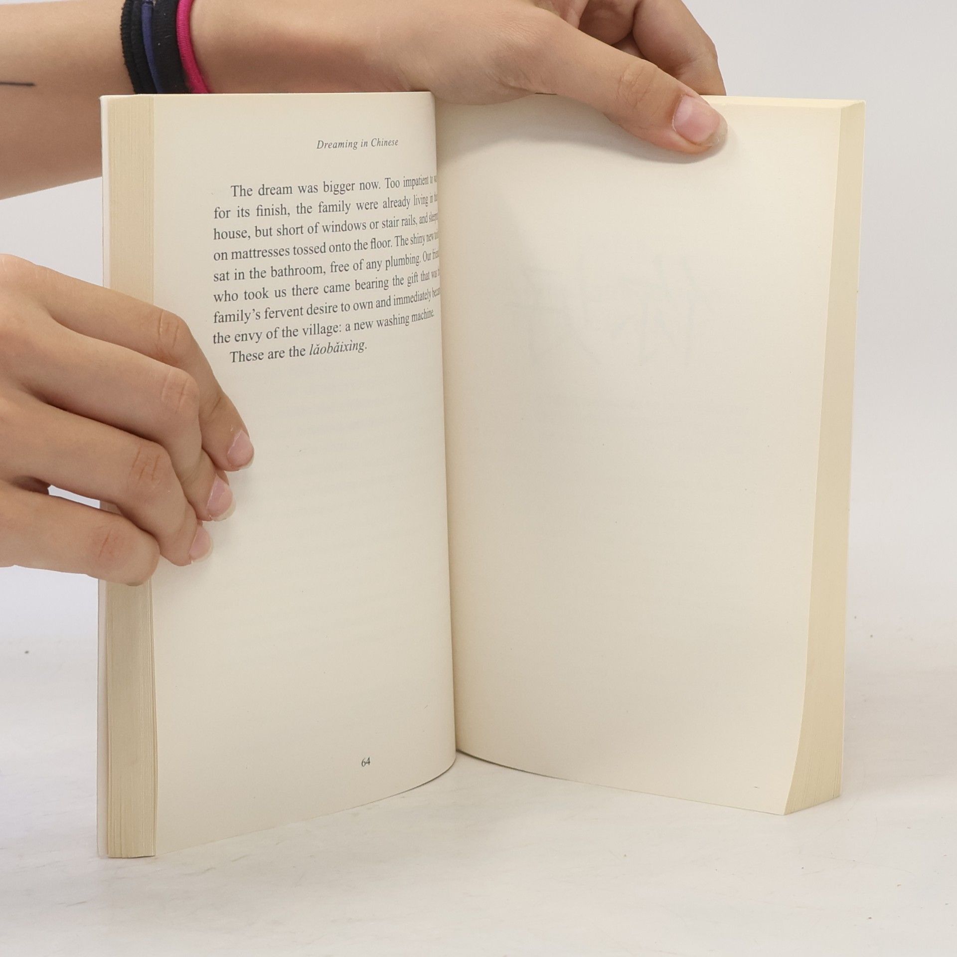 Deborah Fallows Dreaming in Chinese