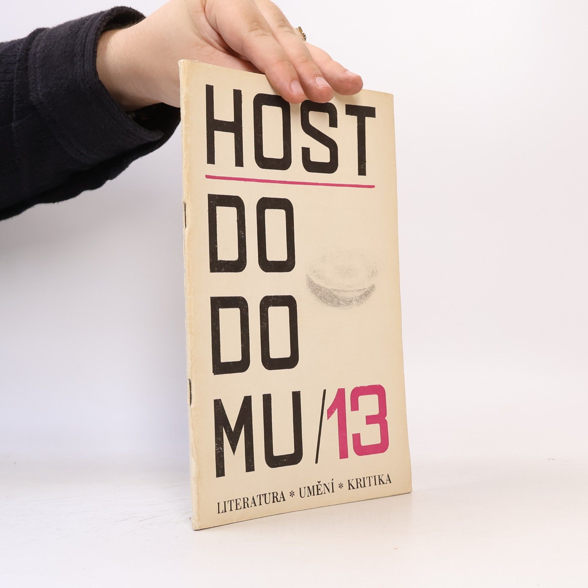 Kolektiv autorů Host do domu 13/69