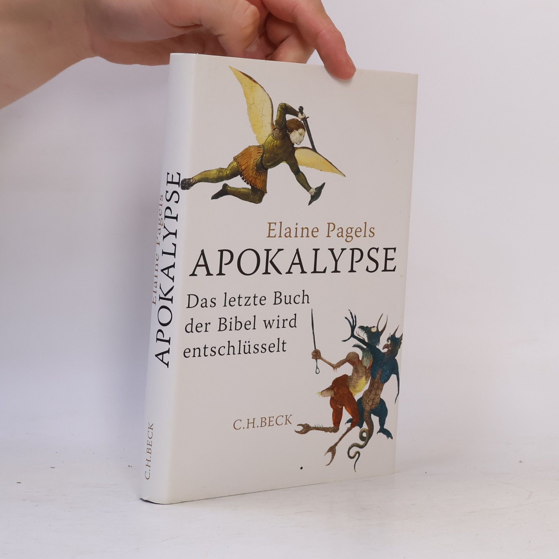 Elaine Pagels Apokalypse