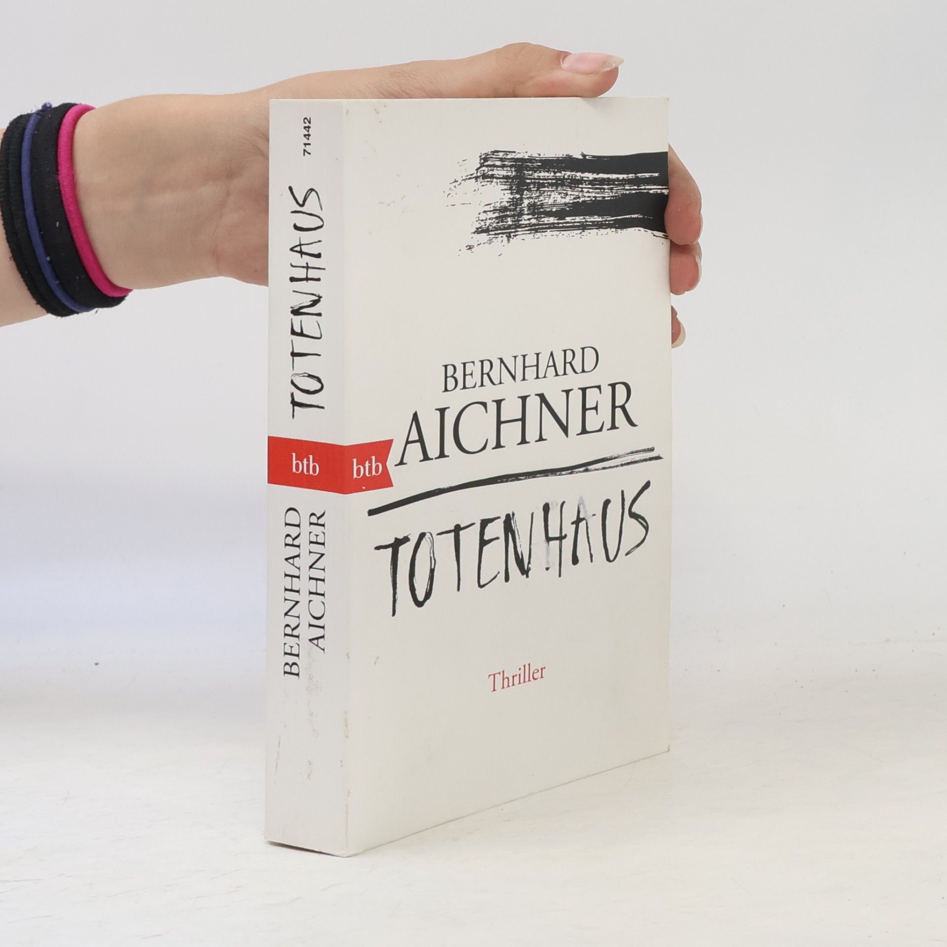 Bernhard Aichner Totenhaus