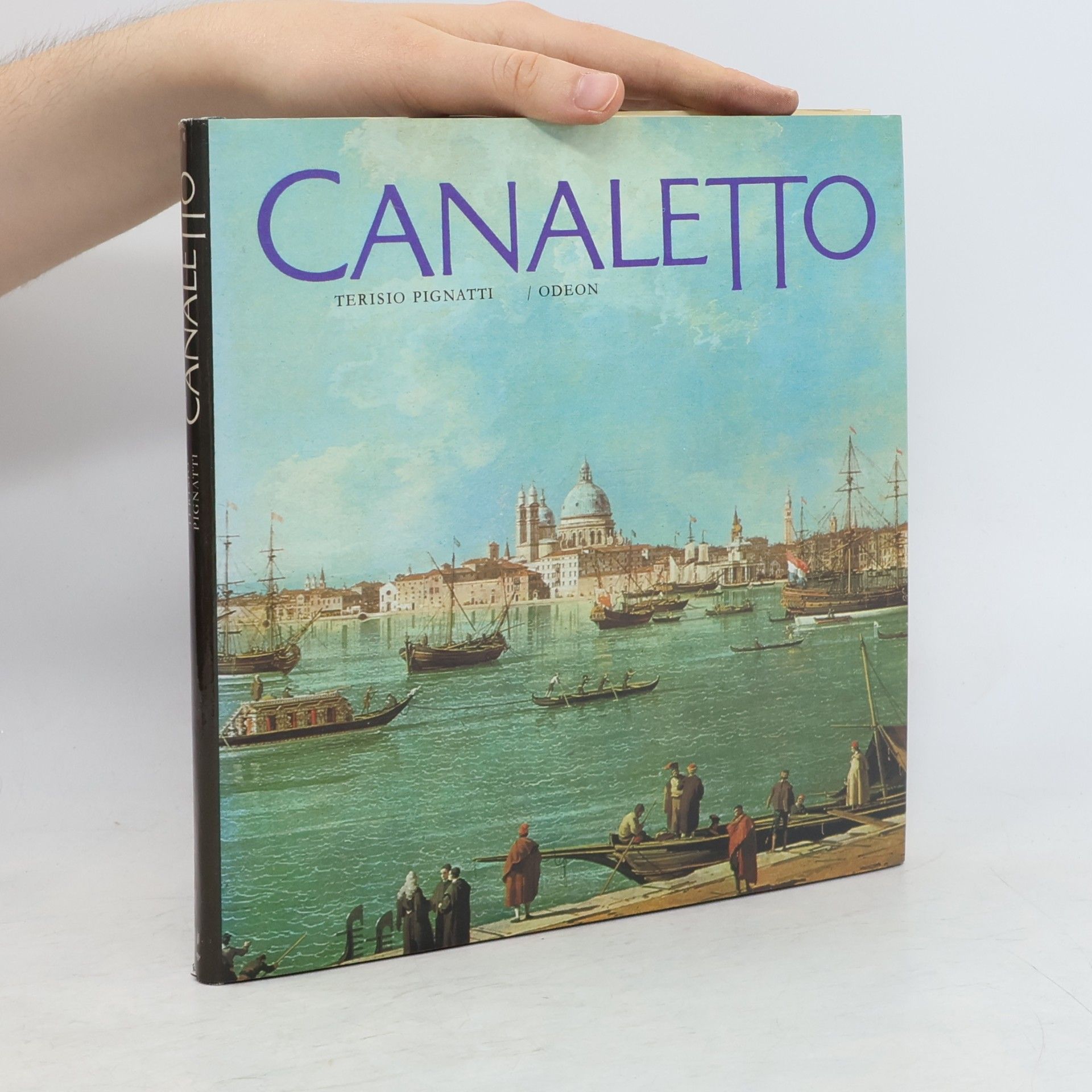 Terisio Pignatti Canaletto
