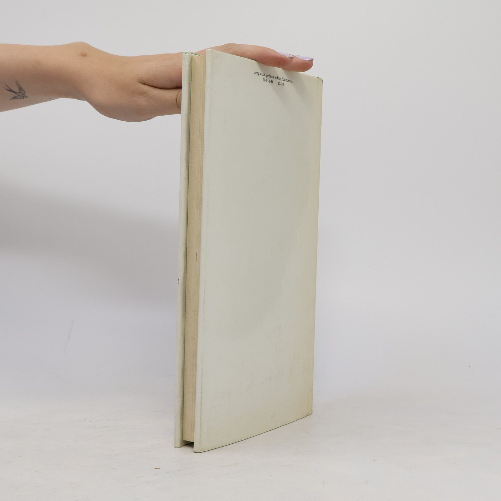 Jaroslava Janáčková Milostná povídka historická