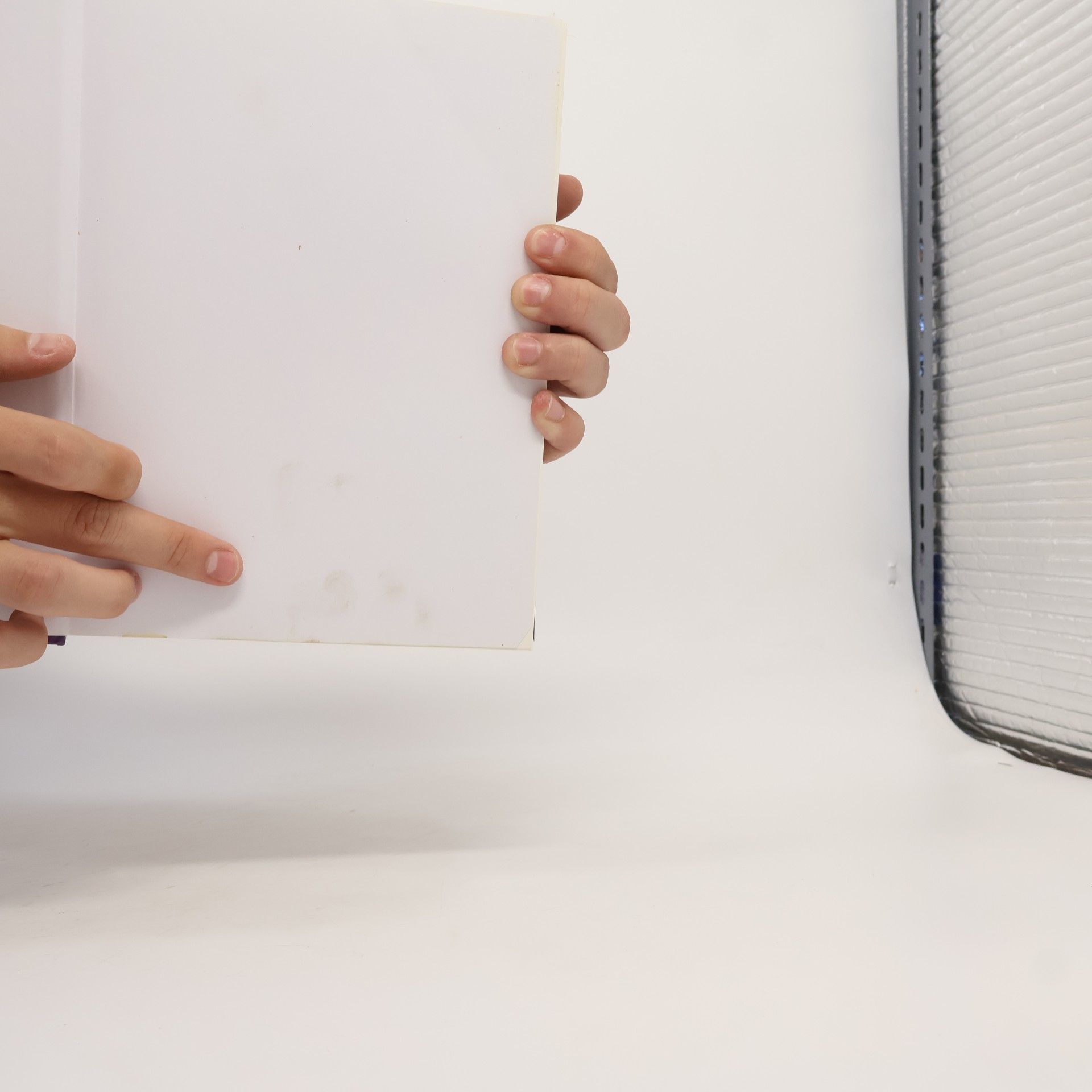 Ansha Das große Praxisbuch weiße Magie