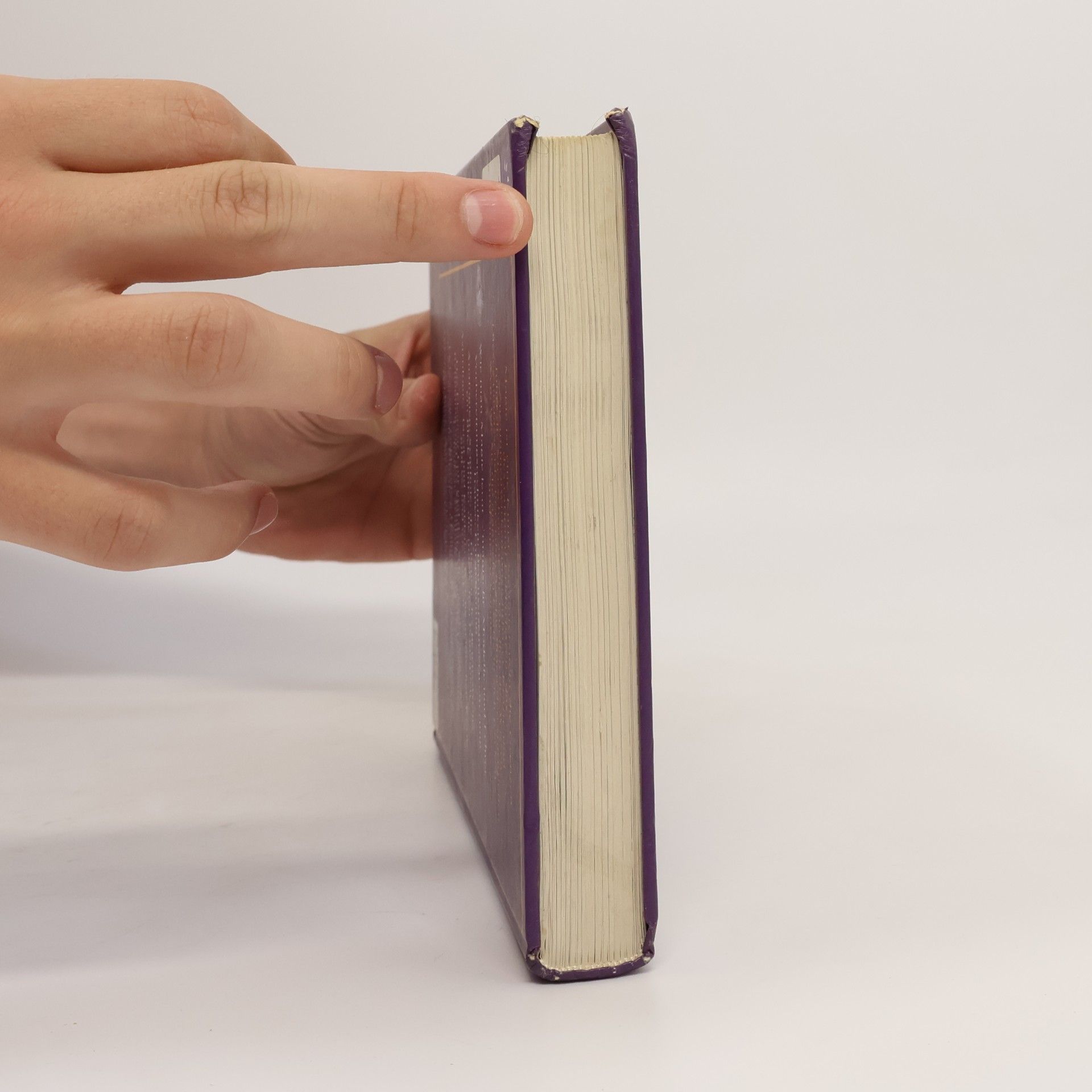 Ansha Das große Praxisbuch weiße Magie