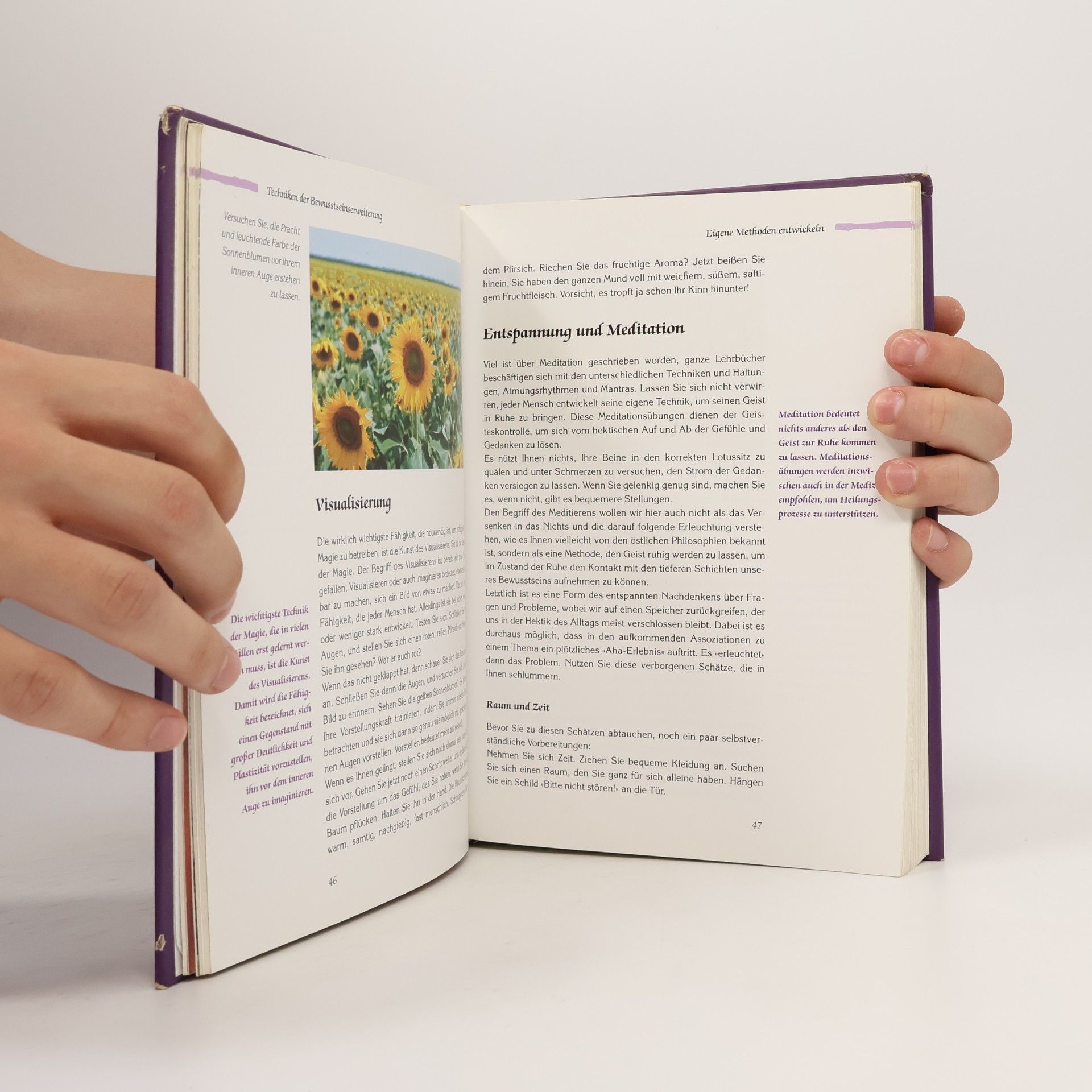 Ansha Das große Praxisbuch weiße Magie