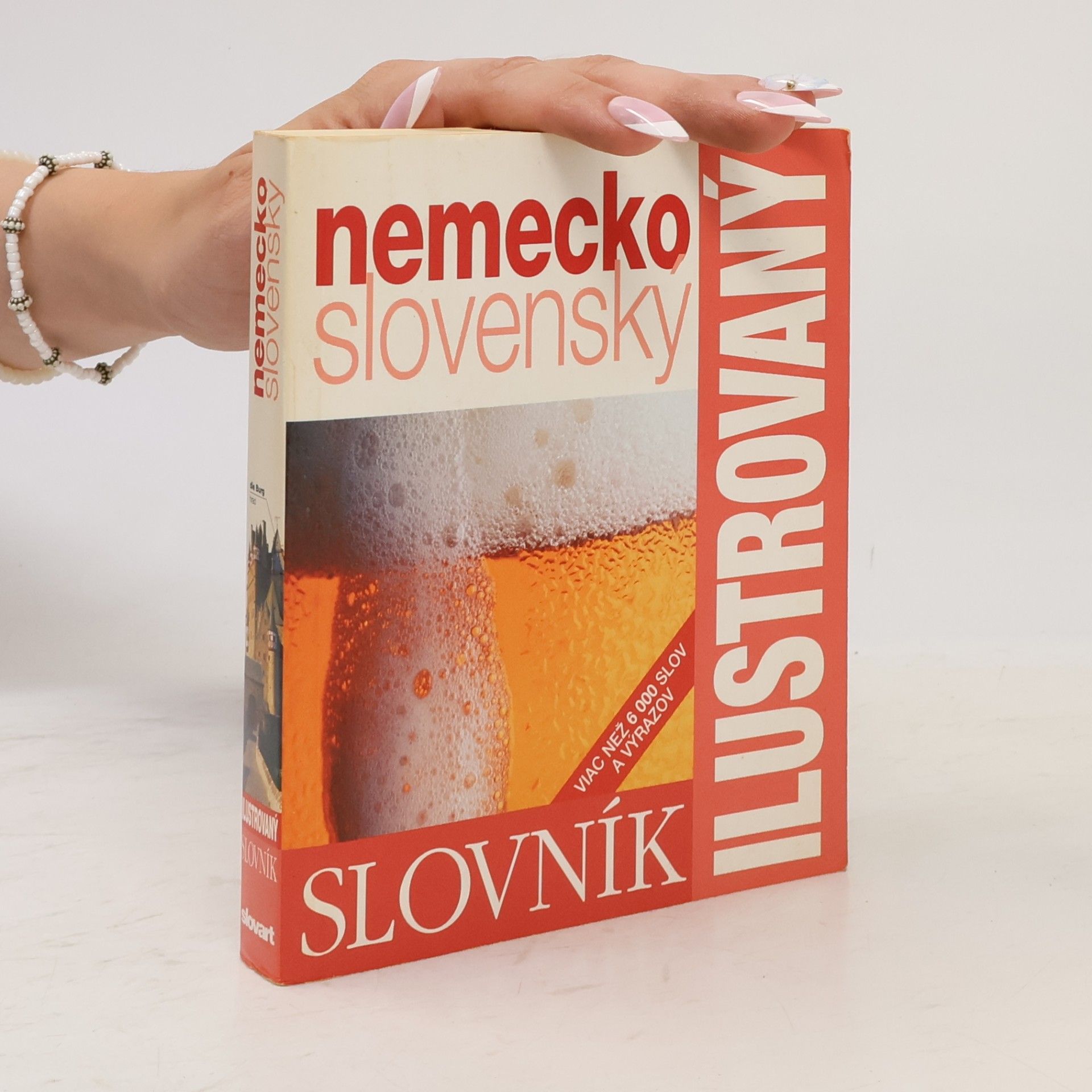 Kristina Szilvásyová Ilustrovaný slovník nemecko-slovenský