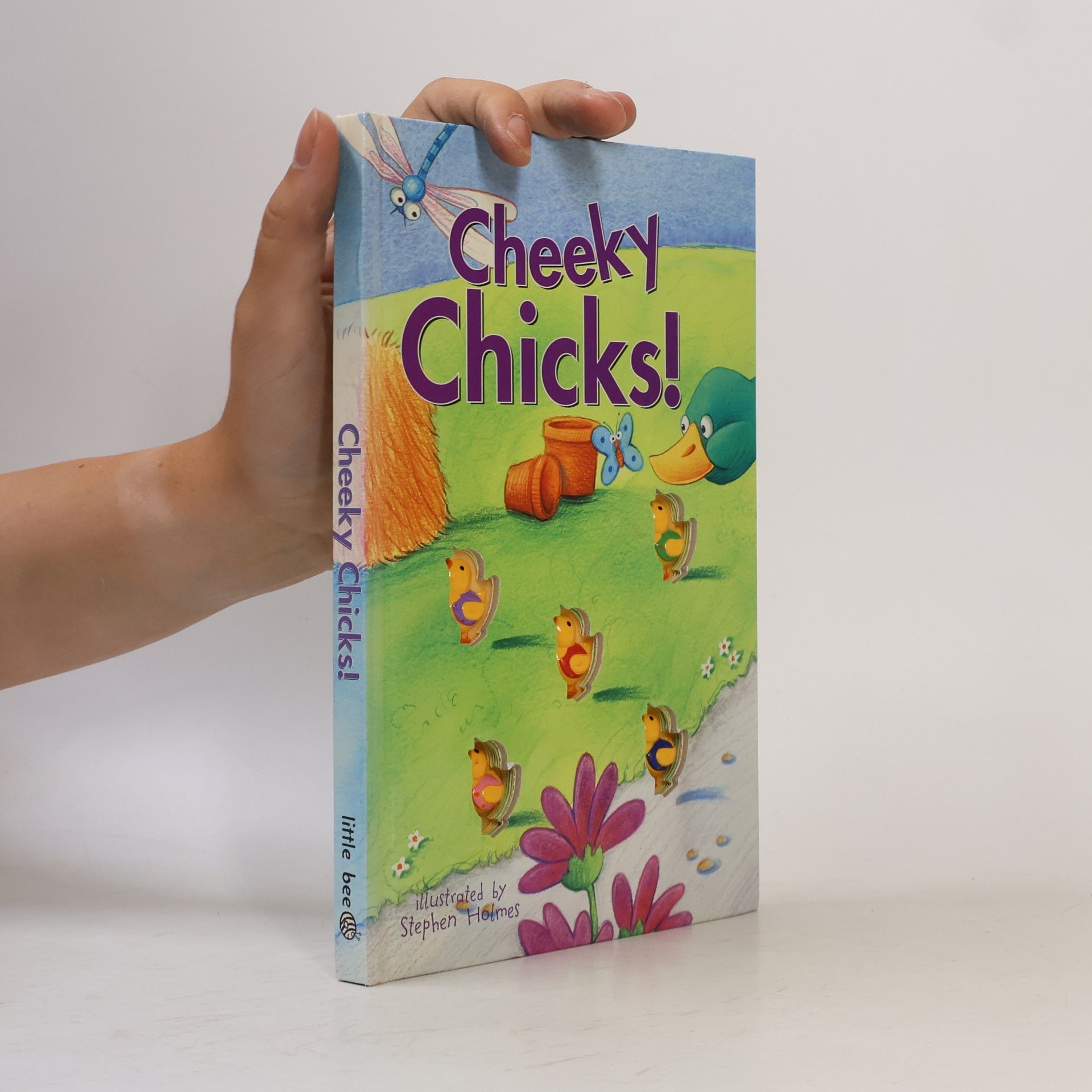 Cheeky Chicks Board Book
