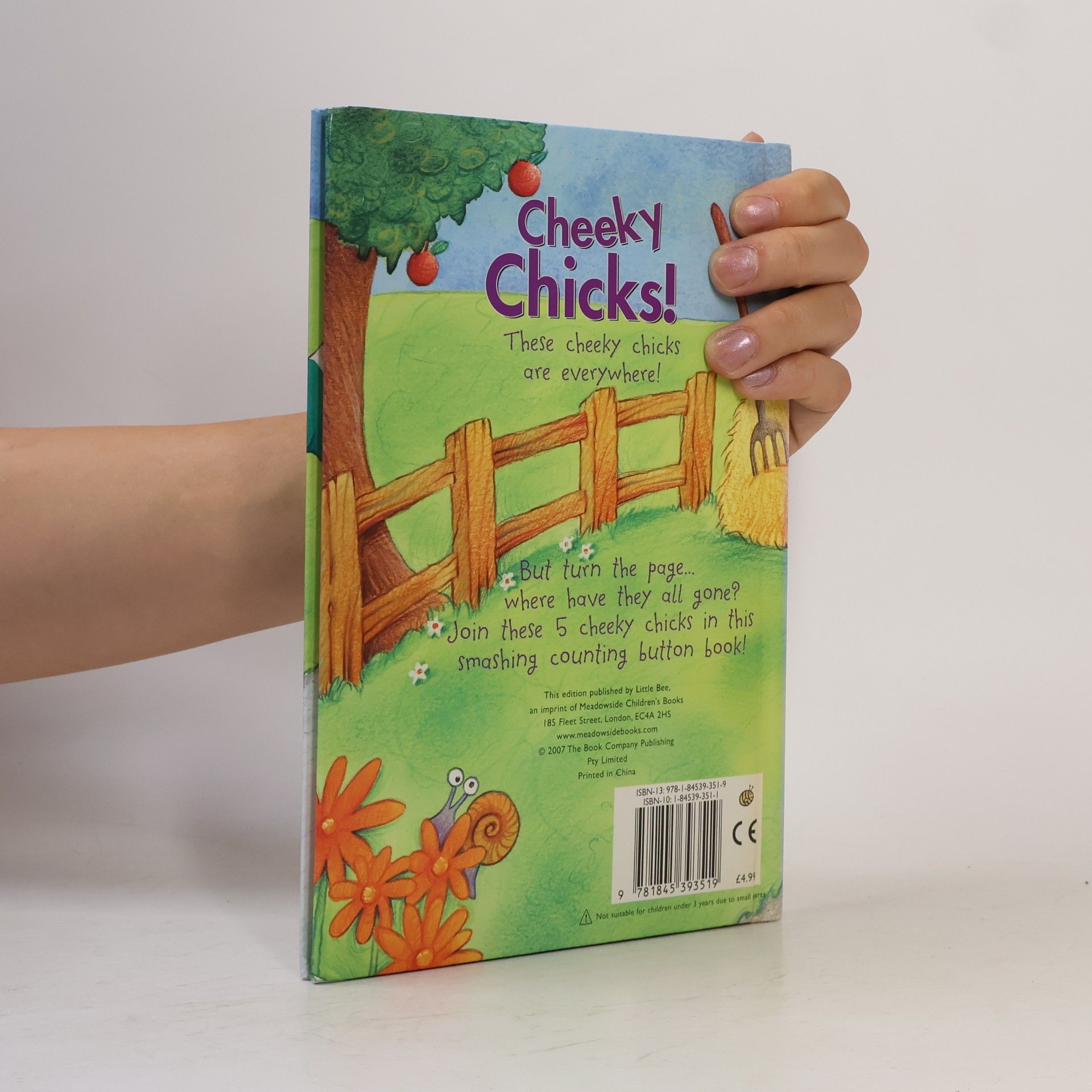 Stephen Holmes Cheeky Chicks Board Book