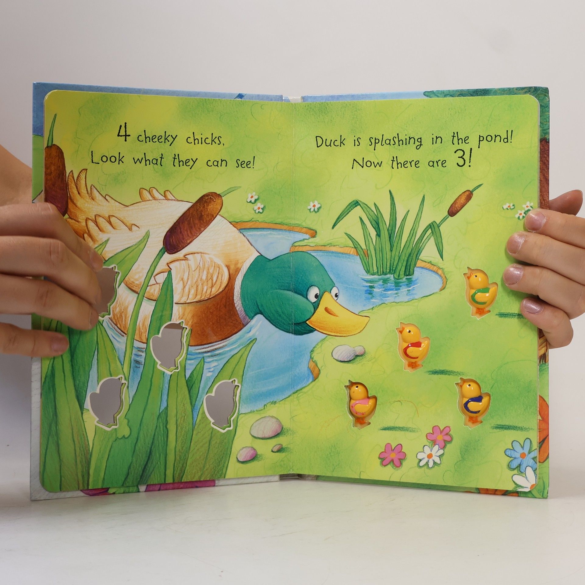 Stephen Holmes Cheeky Chicks Board Book