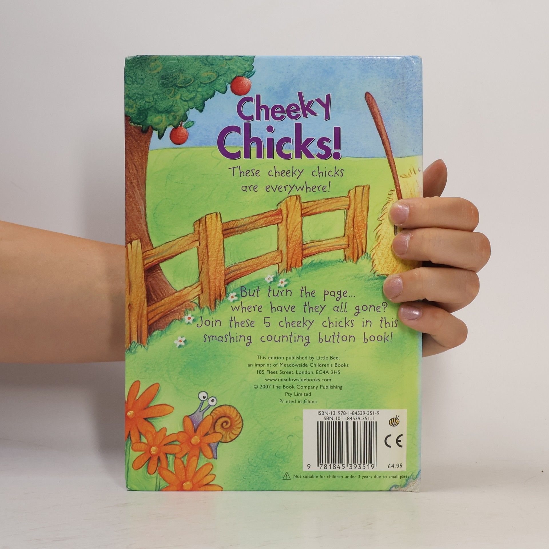 Stephen Holmes Cheeky Chicks Board Book