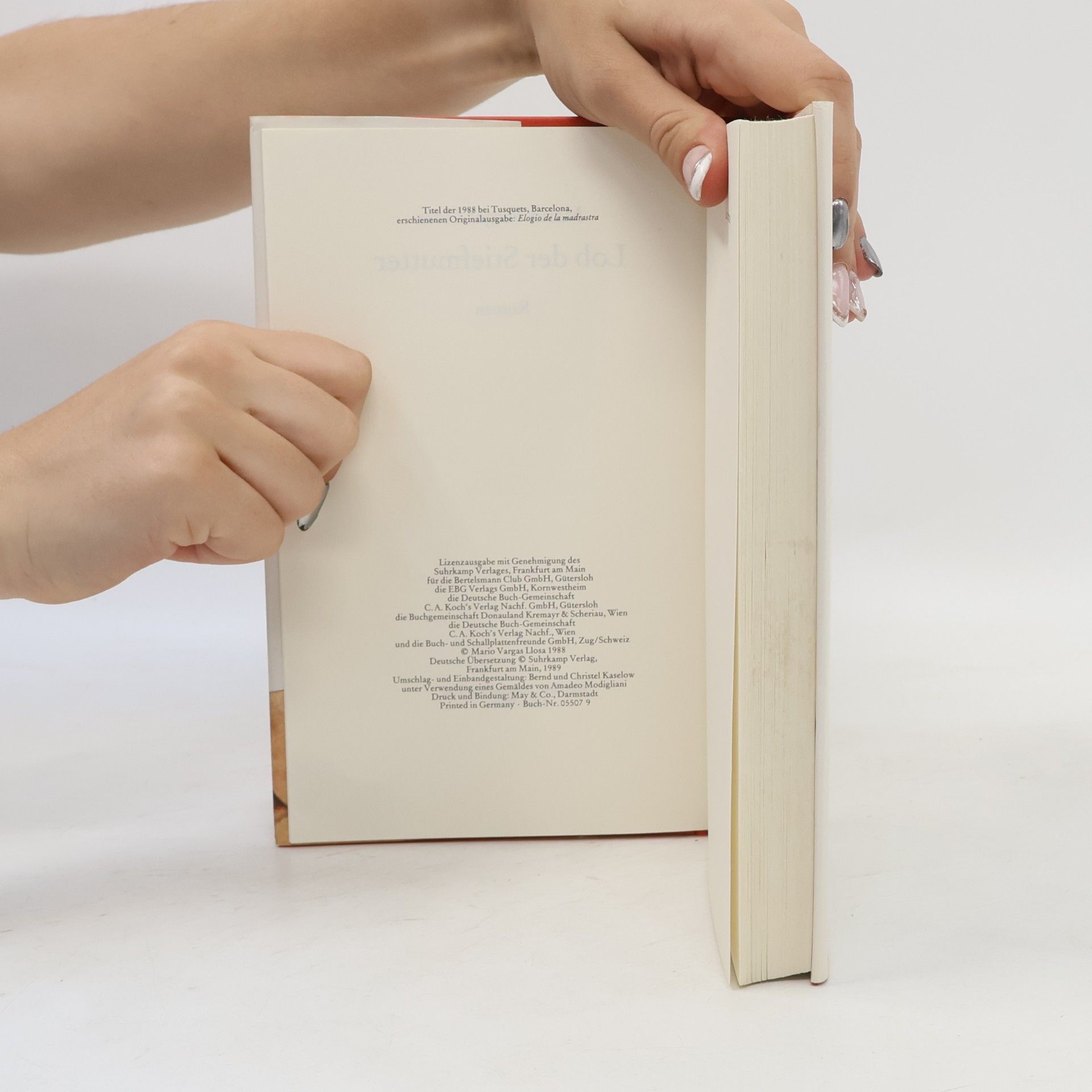 Mario Vargas Llosa Lob der Stiefmutter