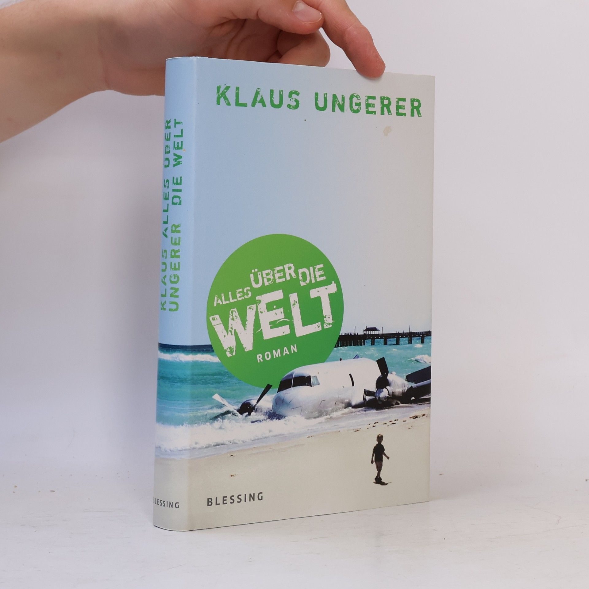 Alles über die Welt. Roman