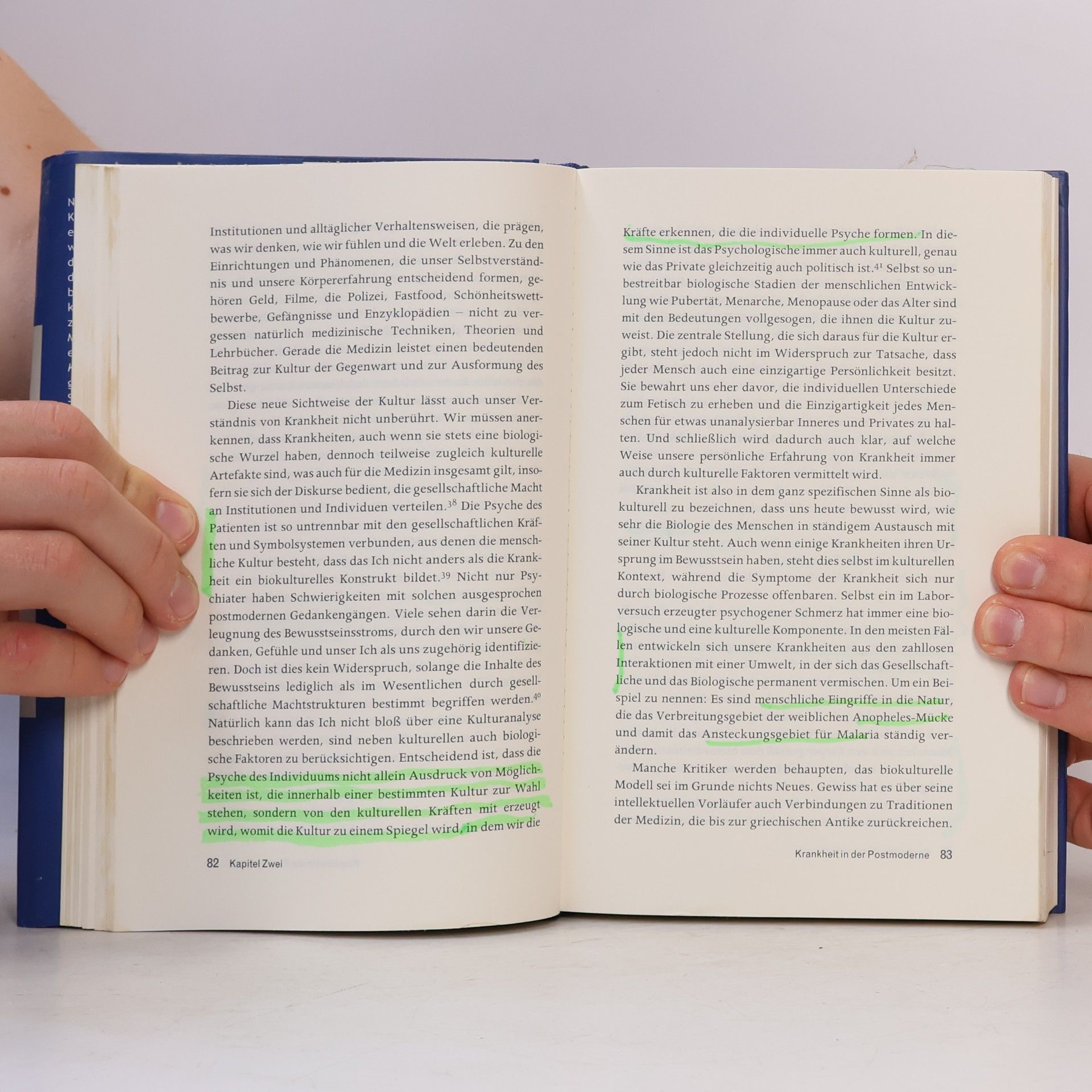 David B. Morris Krankheit und Kultur