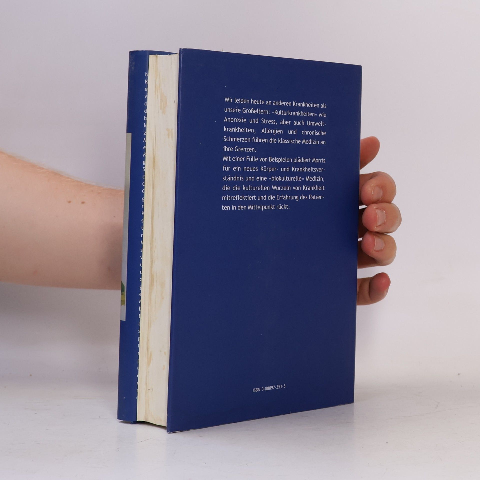 David B. Morris Krankheit und Kultur