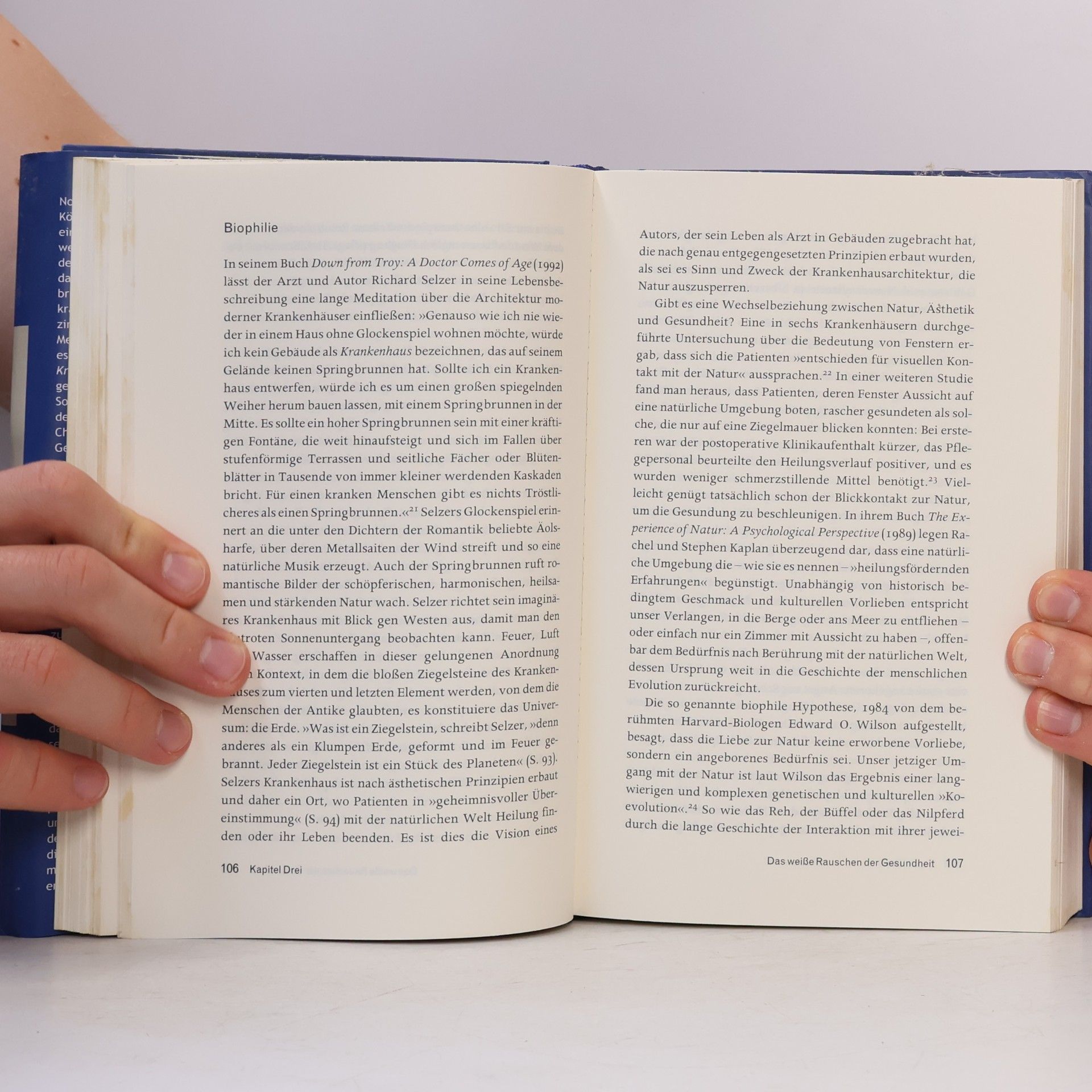 David B. Morris Krankheit und Kultur